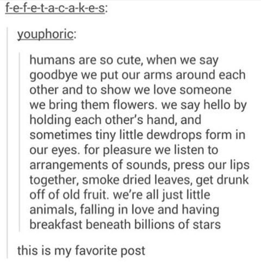 Just little animals ,) r/wholesomememes