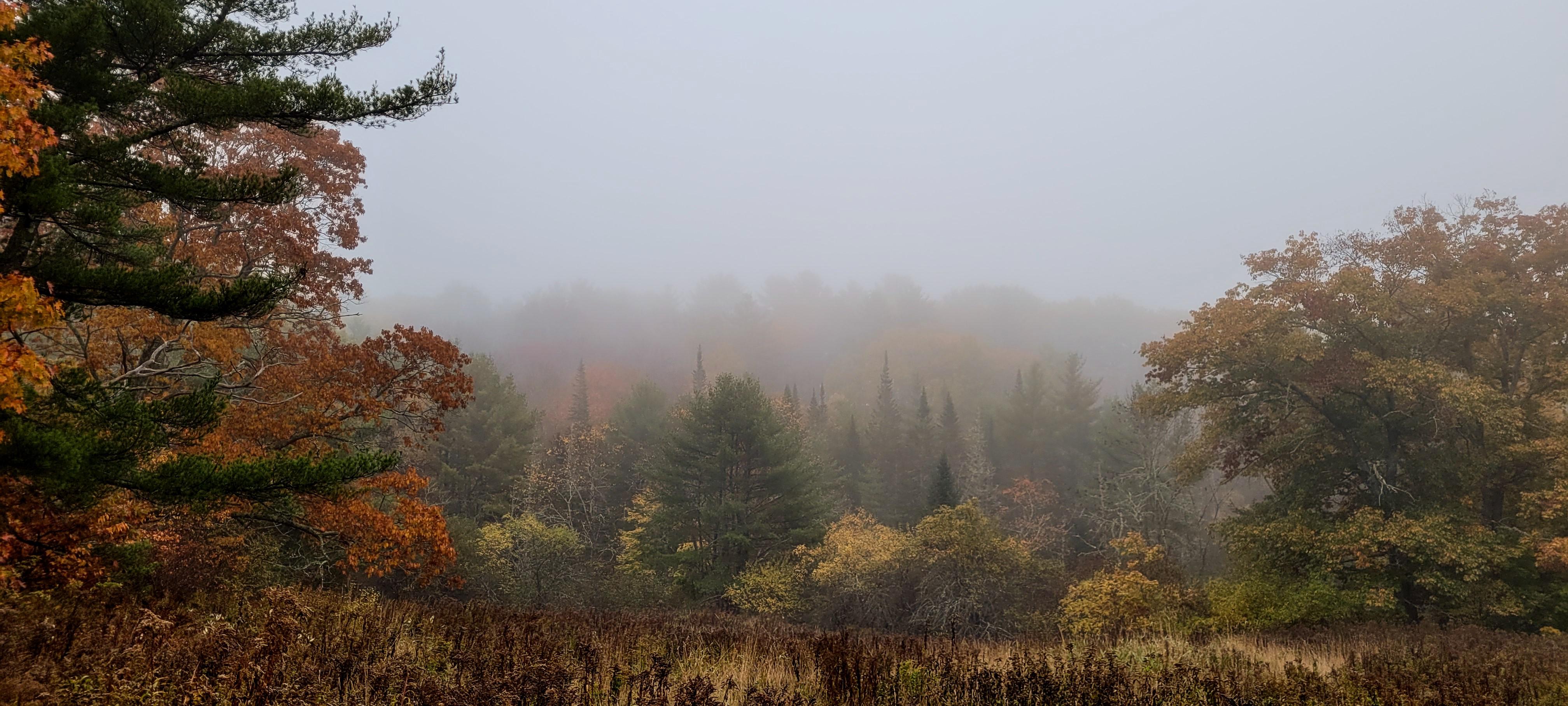 Foggy morning in Maine. Peak fall foliage r/FoggyPics