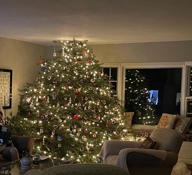 Emp After Christmas 2024 In Usa Emps Rogal, you're in charge of the Christmas tree this year. Rogal