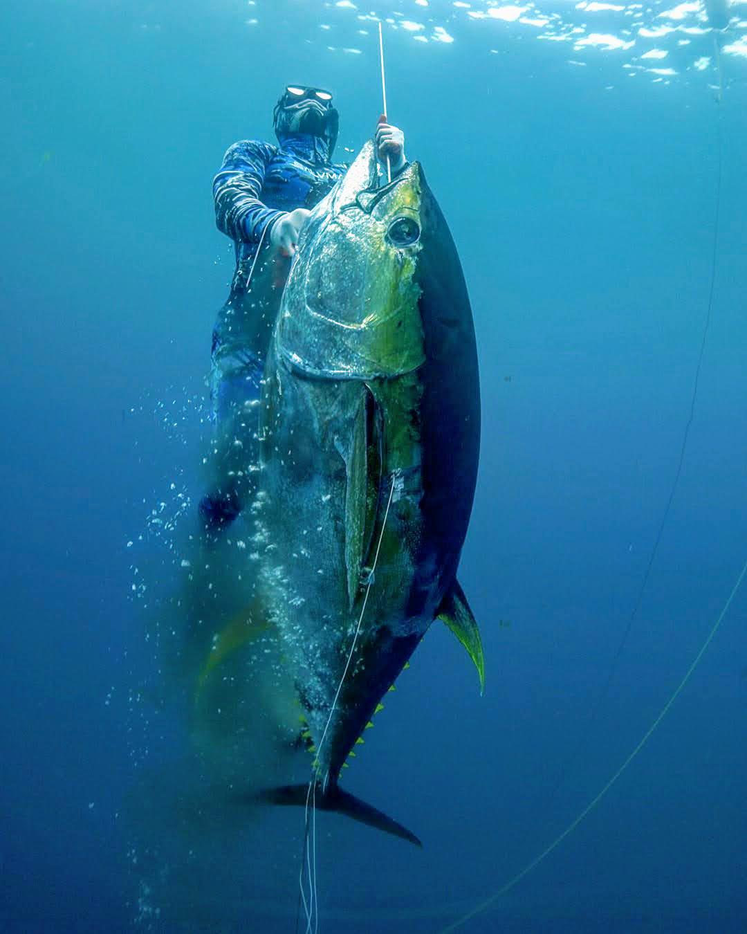 Rhode Island Spearos Spearfishing