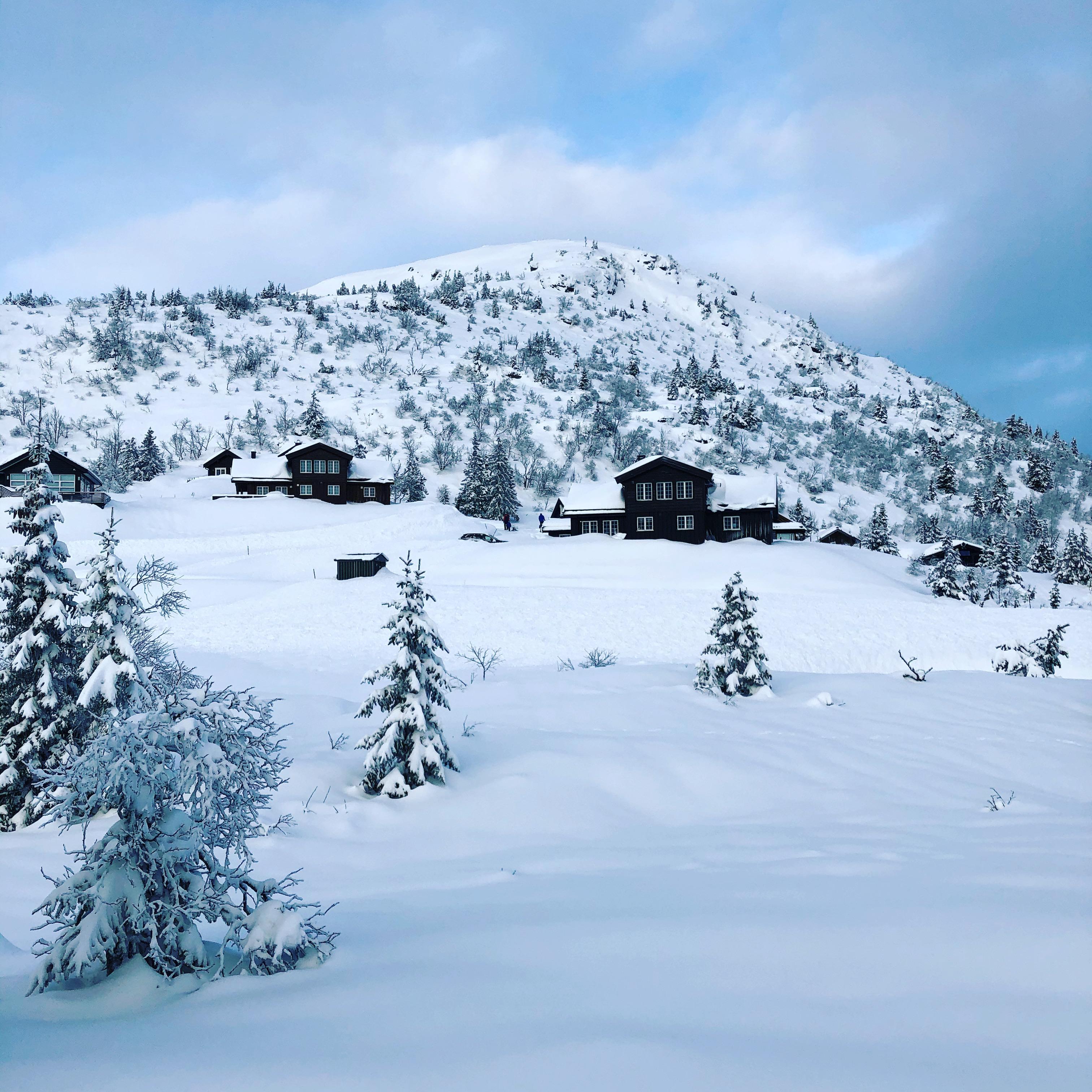 Beautiful Lifjell area in the county Telemark r/Norway