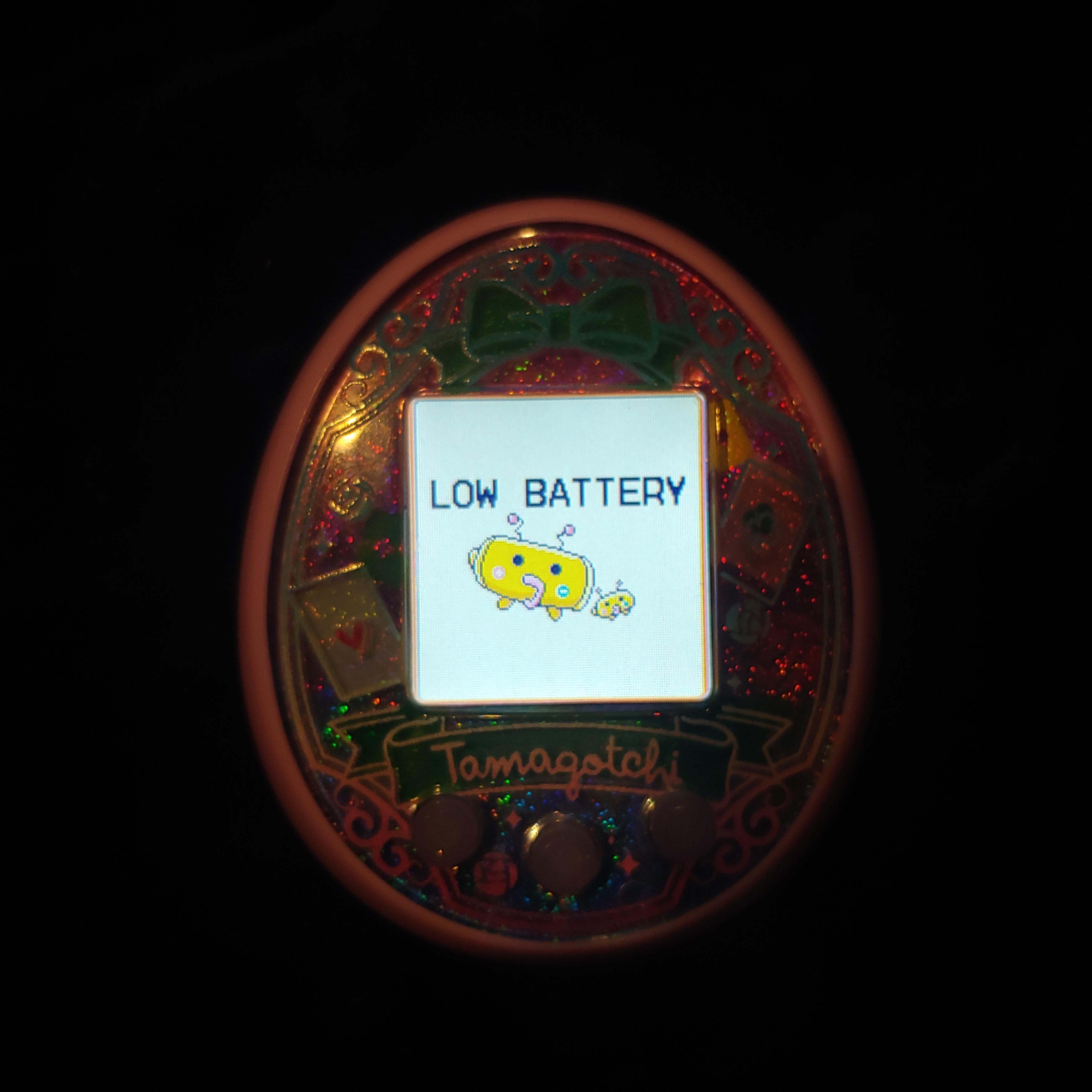 So here's my other tama, battery died when we were out of town and