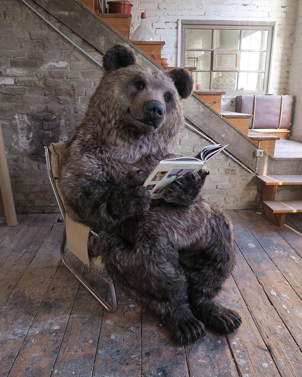 I made a realistic bear costume r/aww