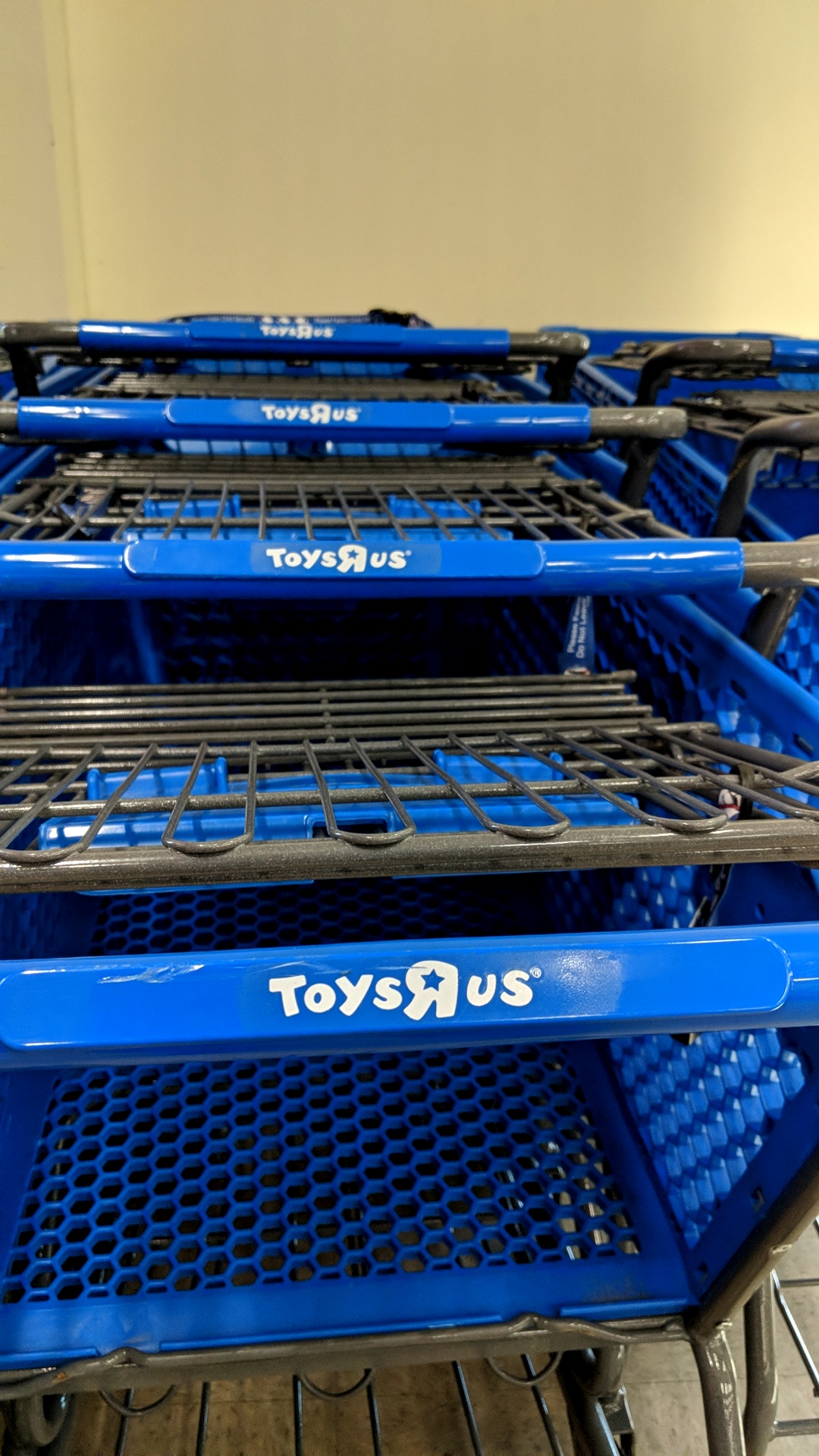 The liquor store I'm shopping in has old Toys R Us shopping carts r