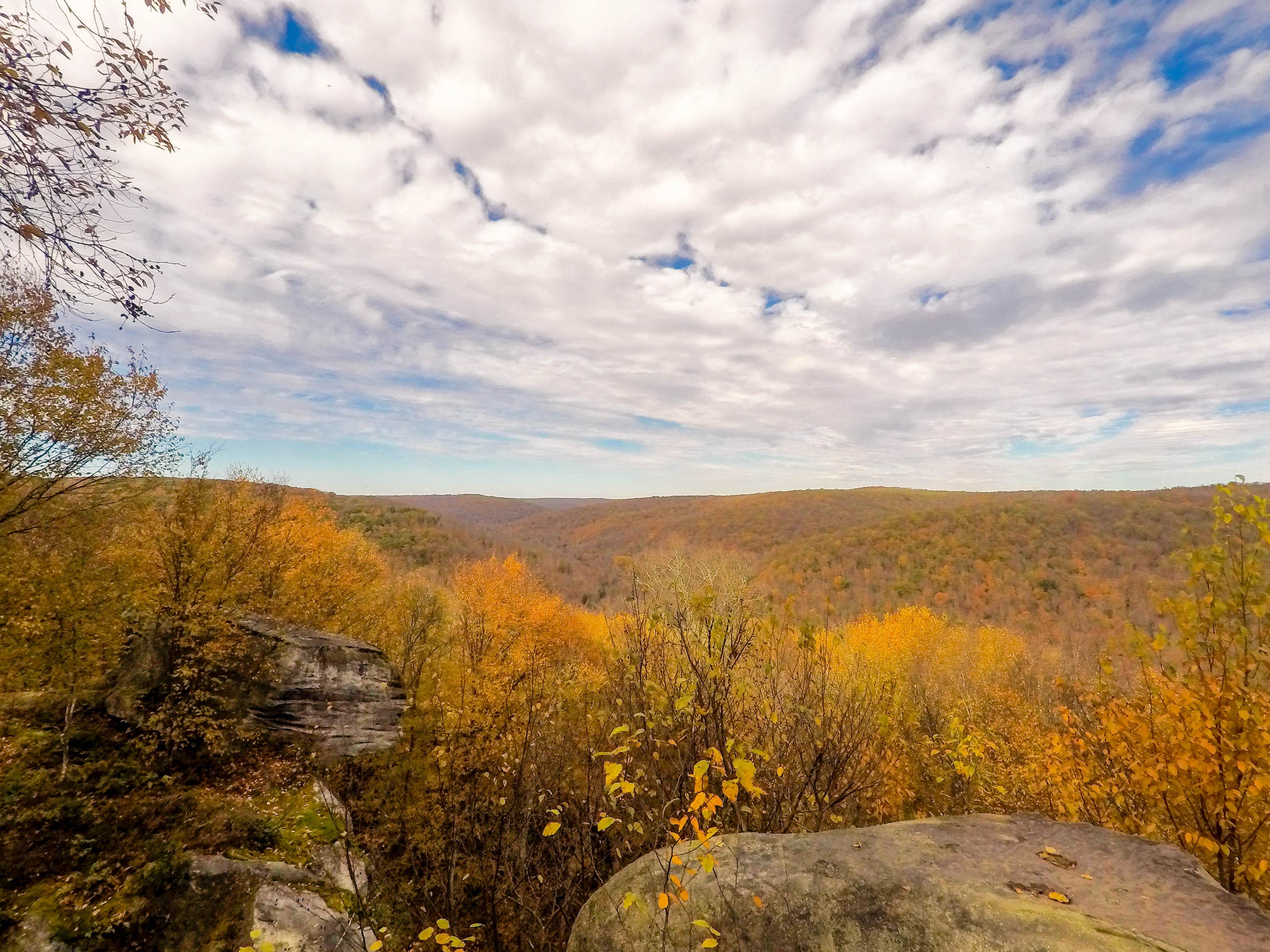 [OC] Fall in the Allegheny National Forest [4000x3000] r/EarthPorn