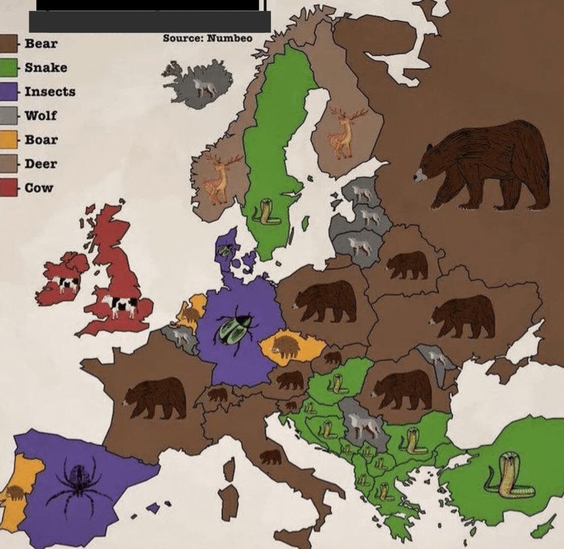 Most popular pets in Europe r/mapporncirclejerk