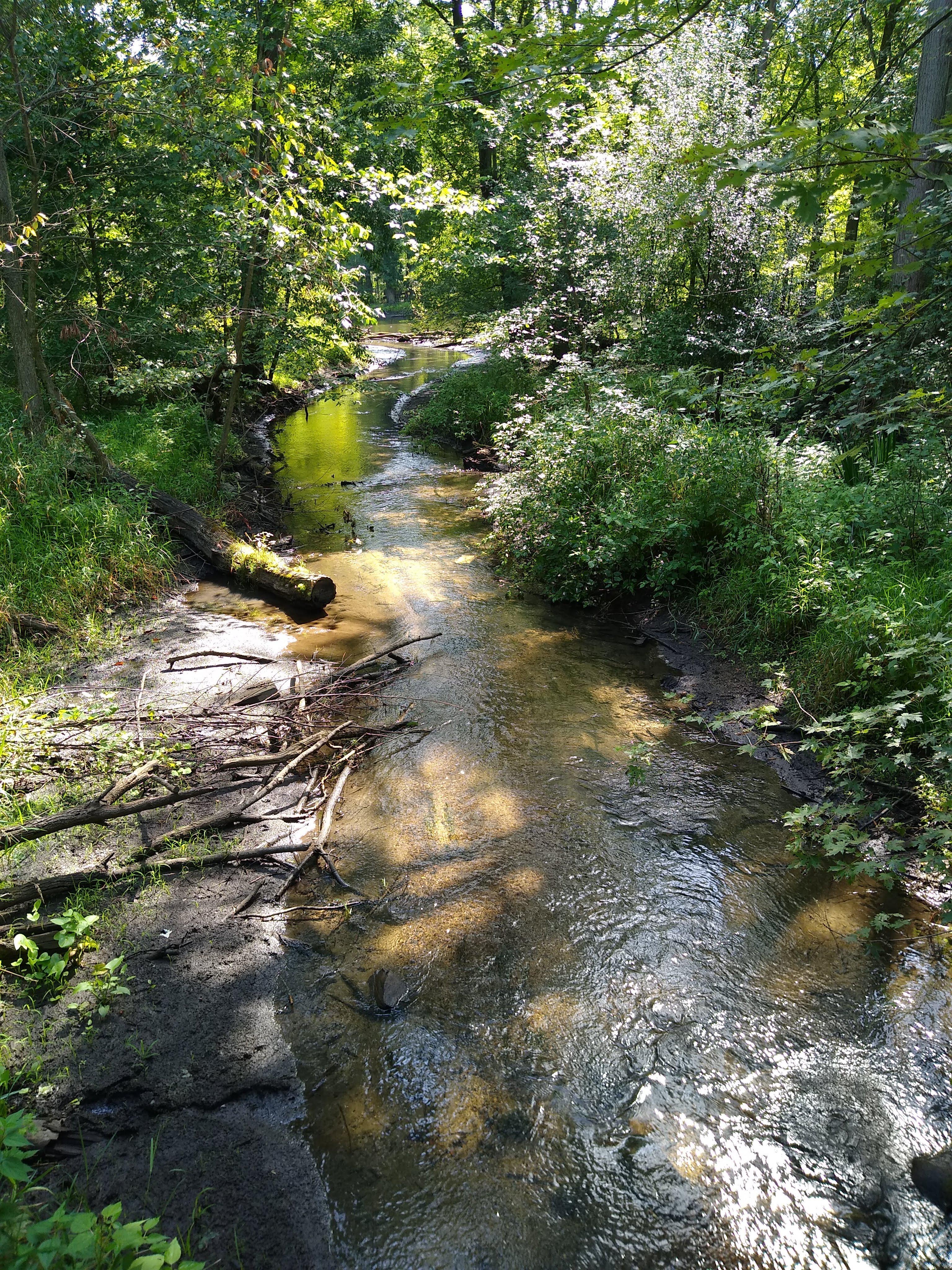 Random Creek leading to the Kalamazoo river . r/Michigan