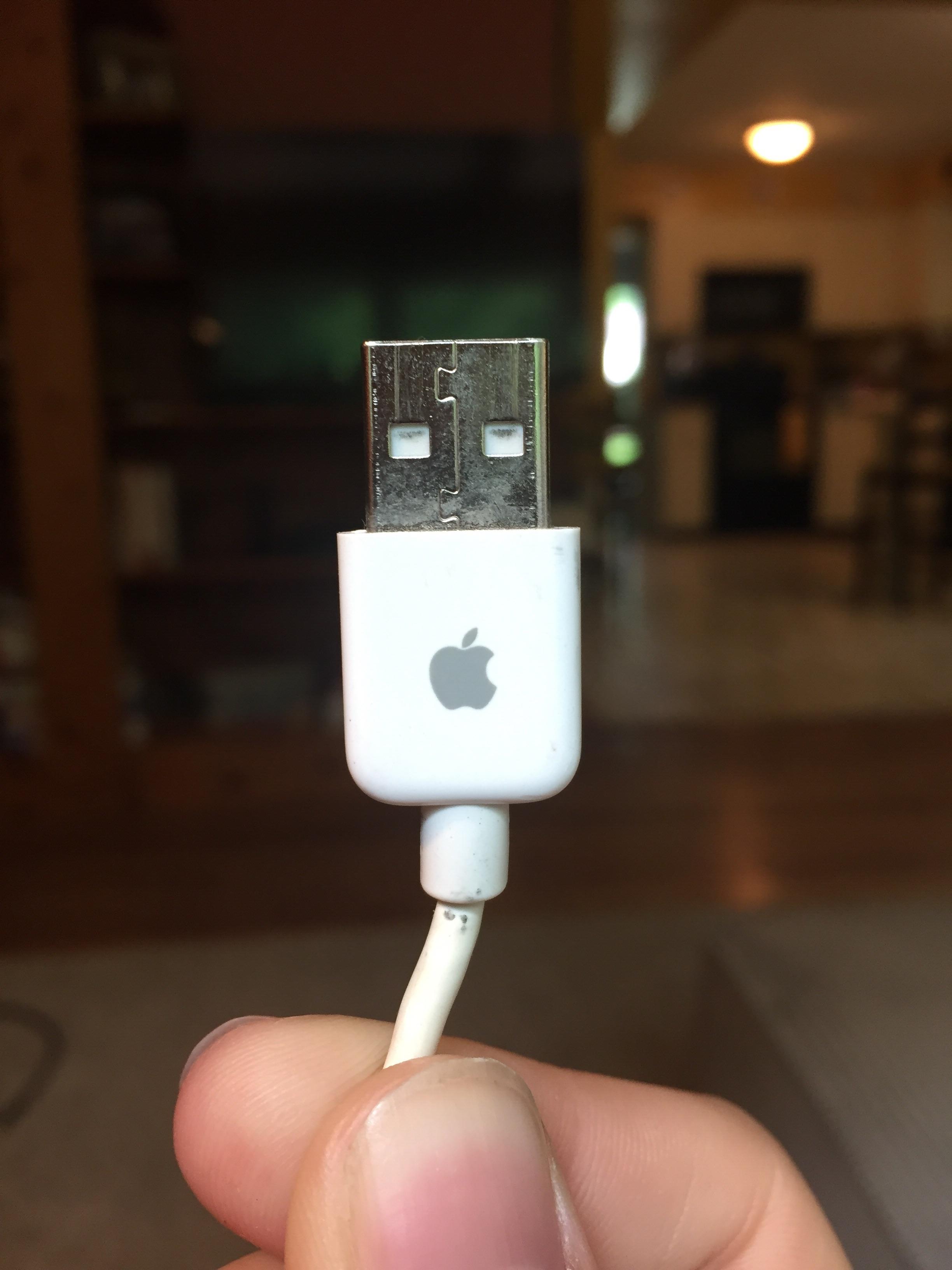 Really old Apple iPod charger with the logo on it r/mildlyinteresting