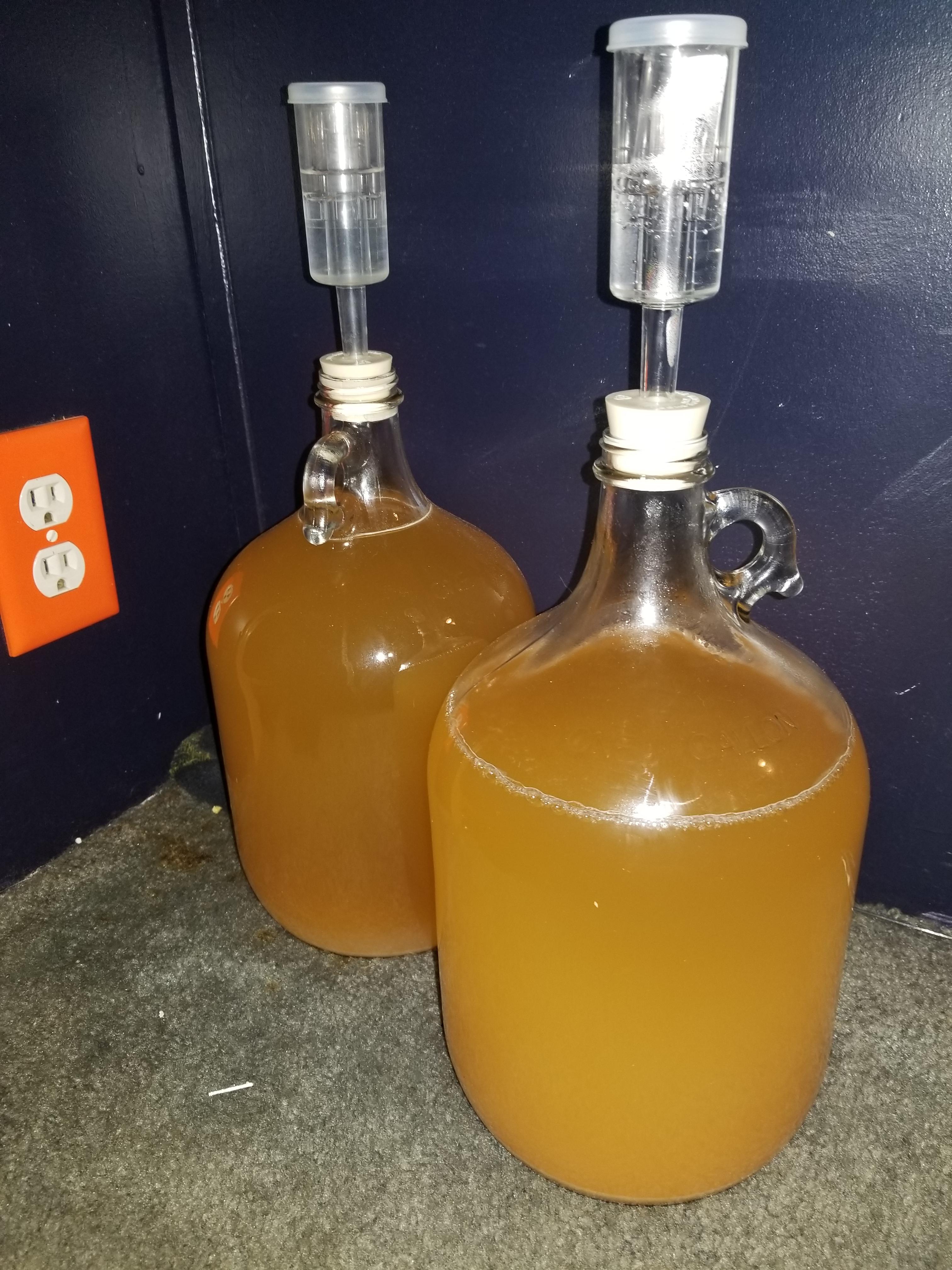 Second batch of mead, what flavors this time? r/mead