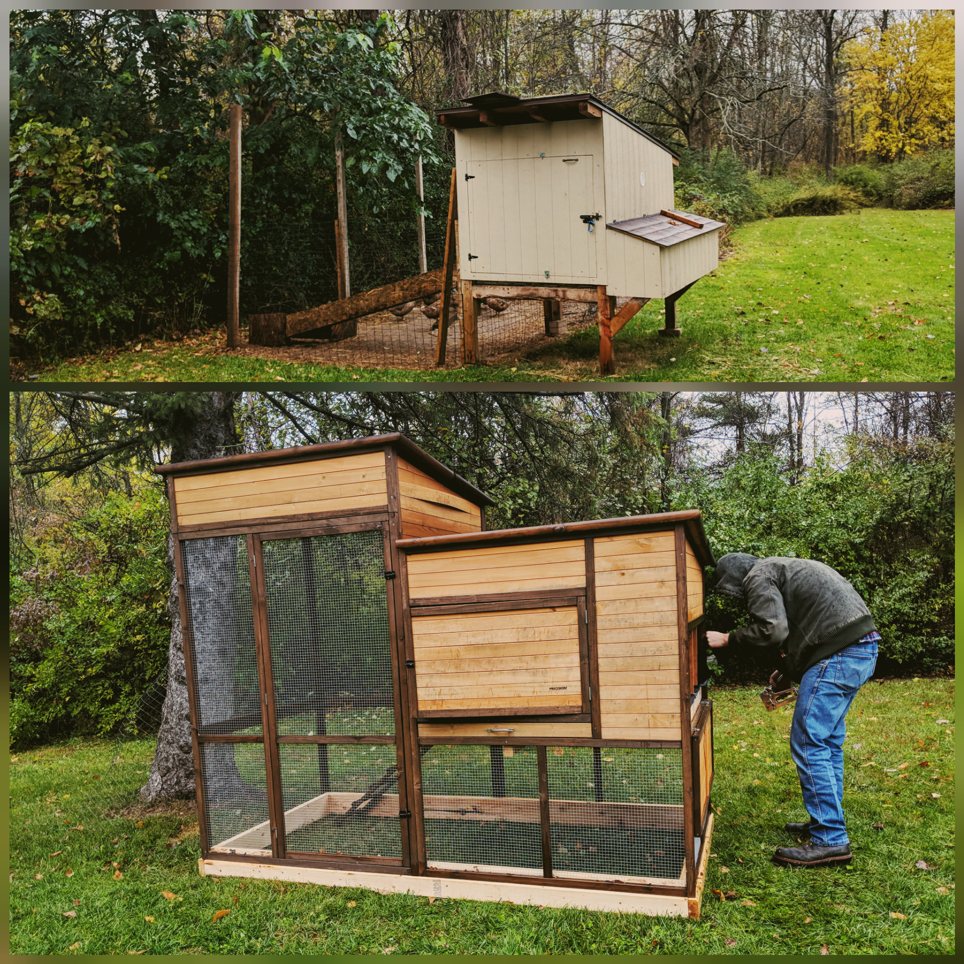 Any advice on electric fence to let our birds free range? We have 11