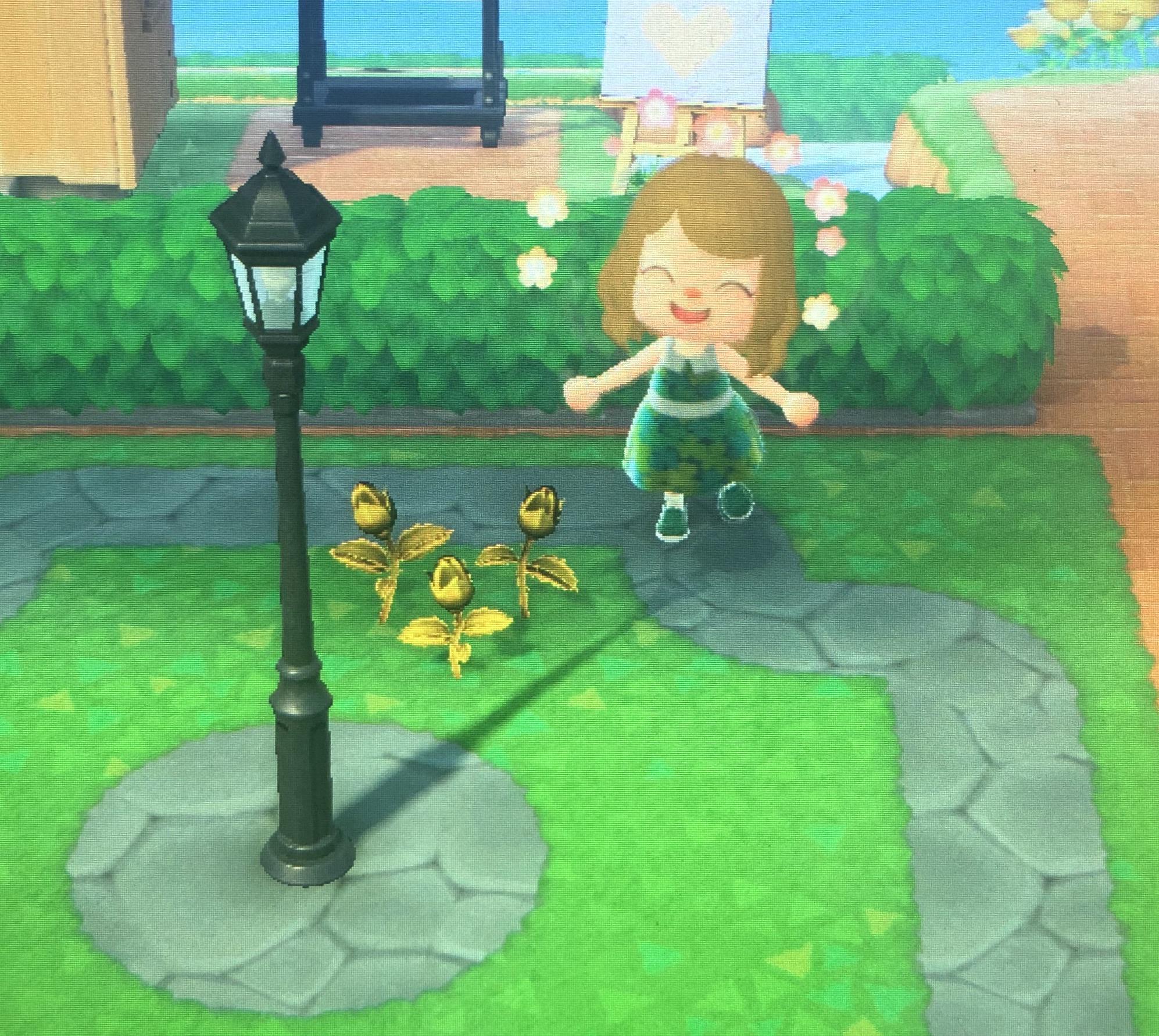 I got my first golden rose today! I already have Lilies Of The Valley