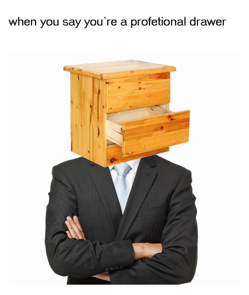 Illustrators... What are those? r/memes