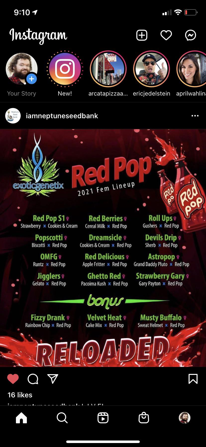 RED POP FEMS live at Neptune Seed Bank