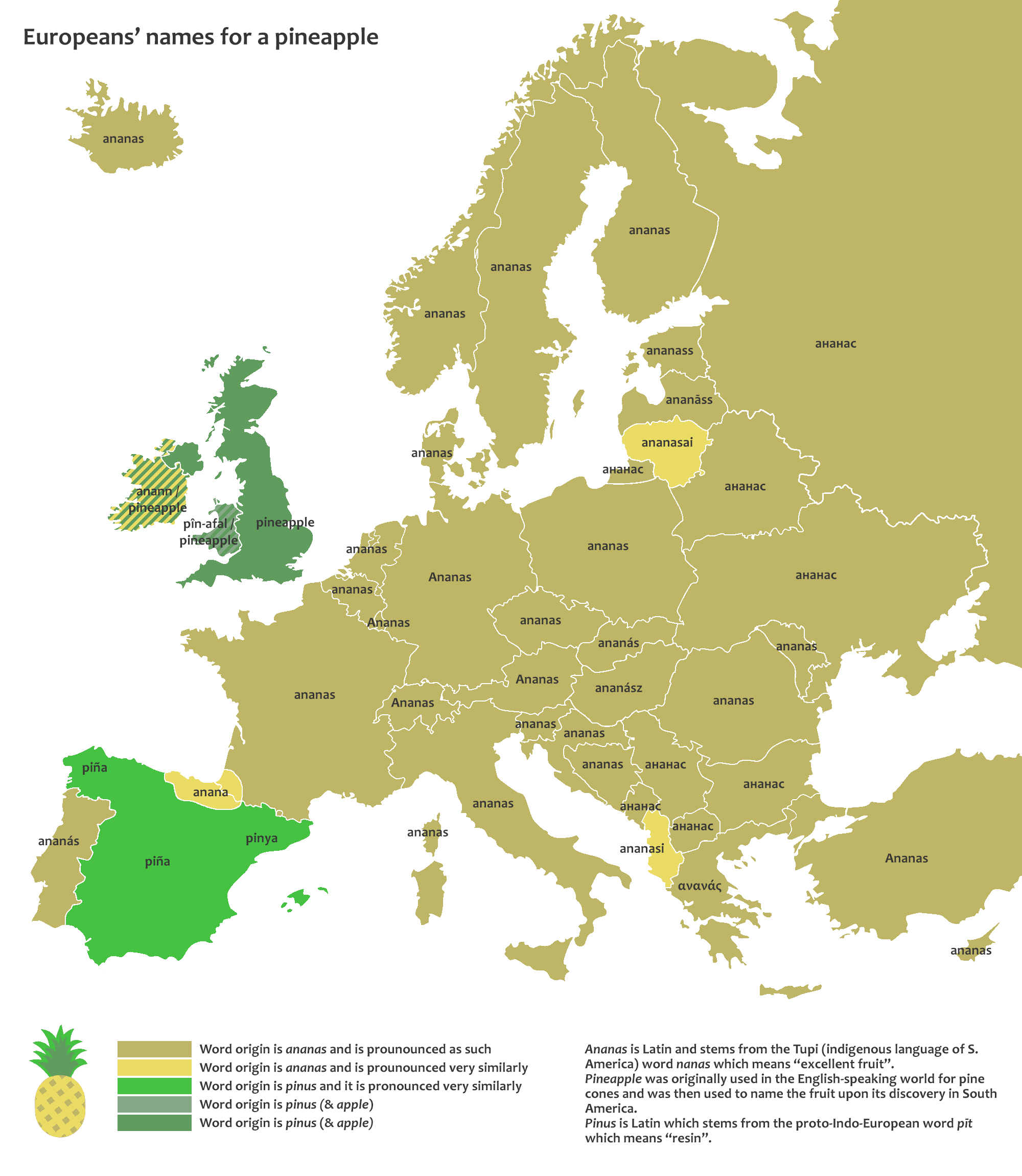 Europeans' words for pineapple [2000x2300] r/MapPorn