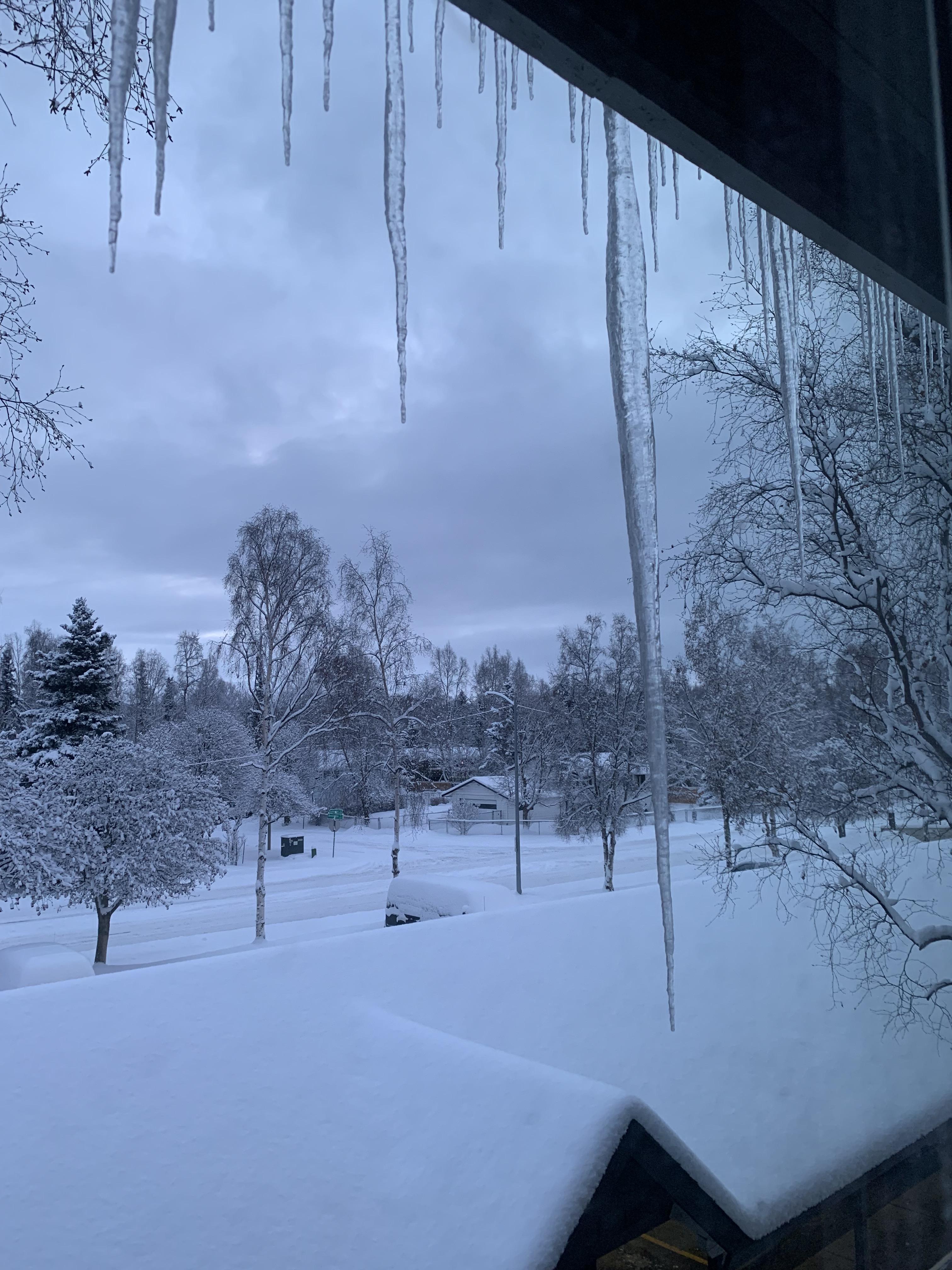 We left our bedroom window cracked on accident during our weekend