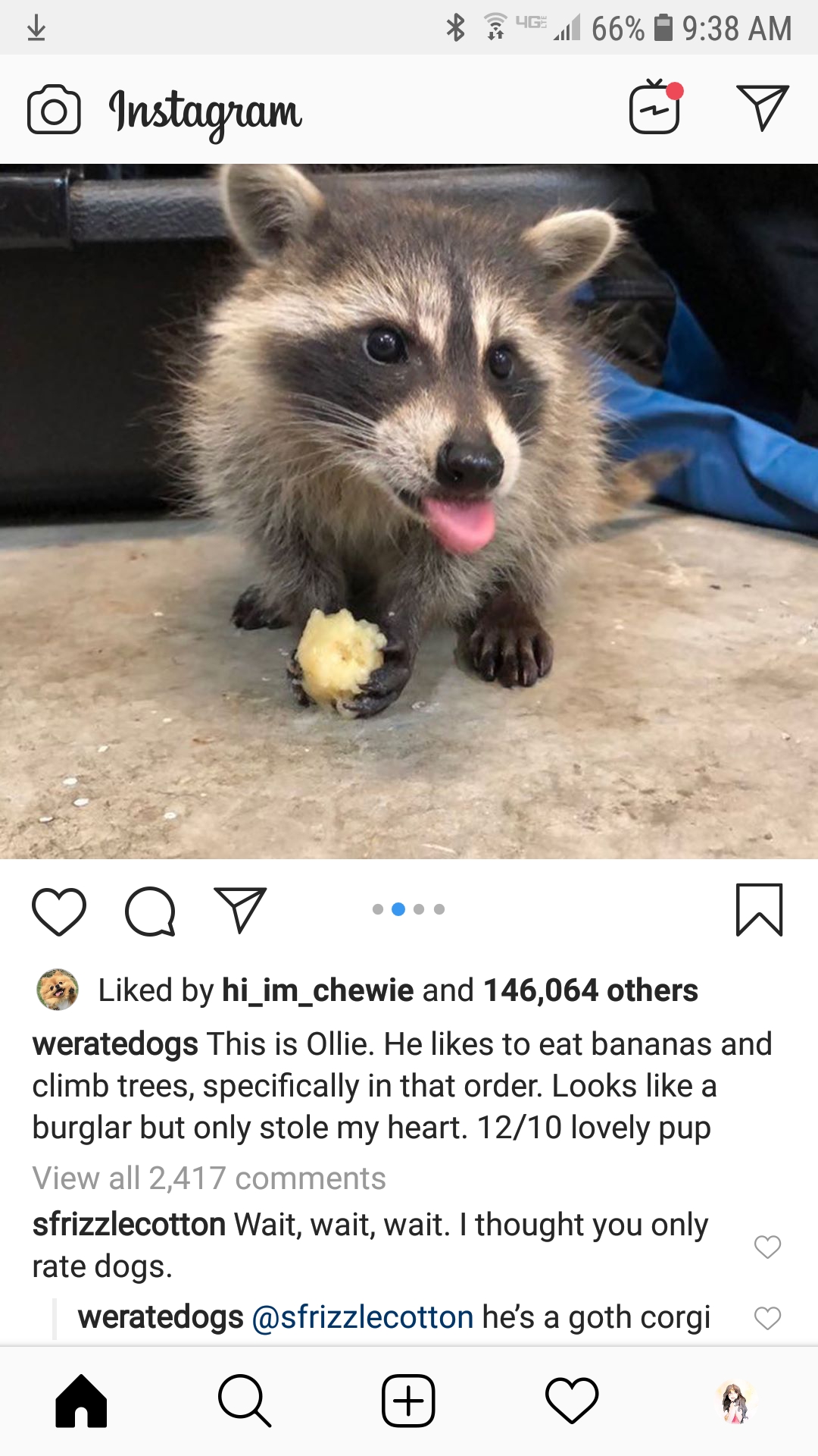 Goth ProperAnimalNames