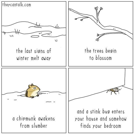 happy spring r/funny