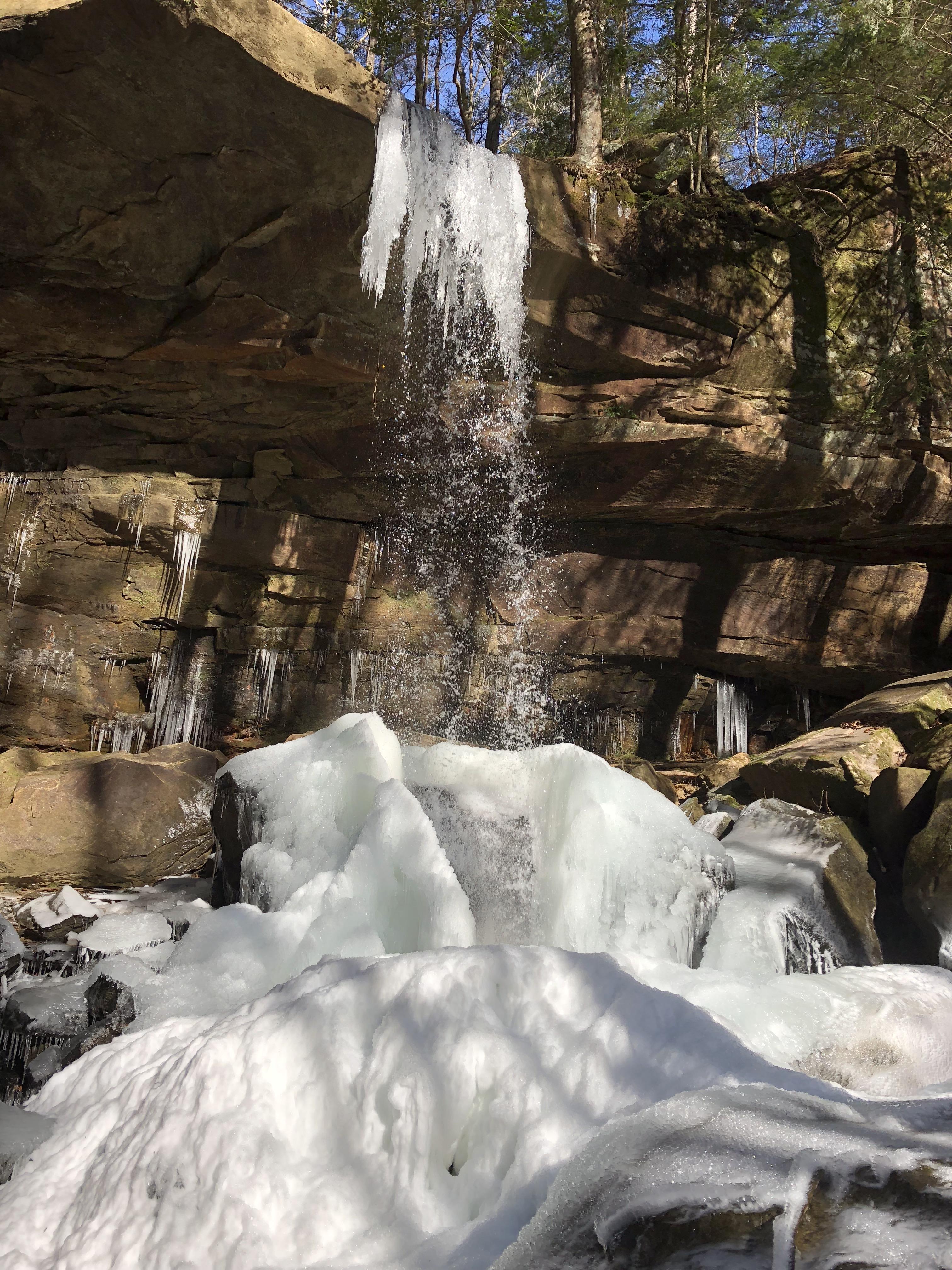 Frozen waterfall in Sipsey Wilderness, Alabama r/hiking