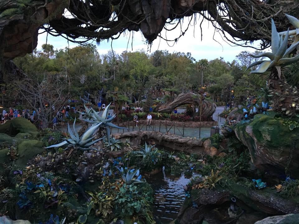 Disney’s Animal Kingdom, Orlando, FL r/WaltDisneyWorld