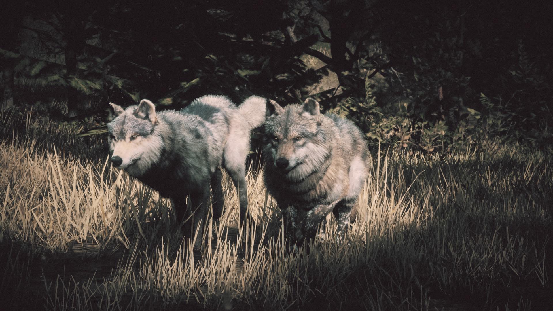 I love the Western filter, it makes the pictures look so much better