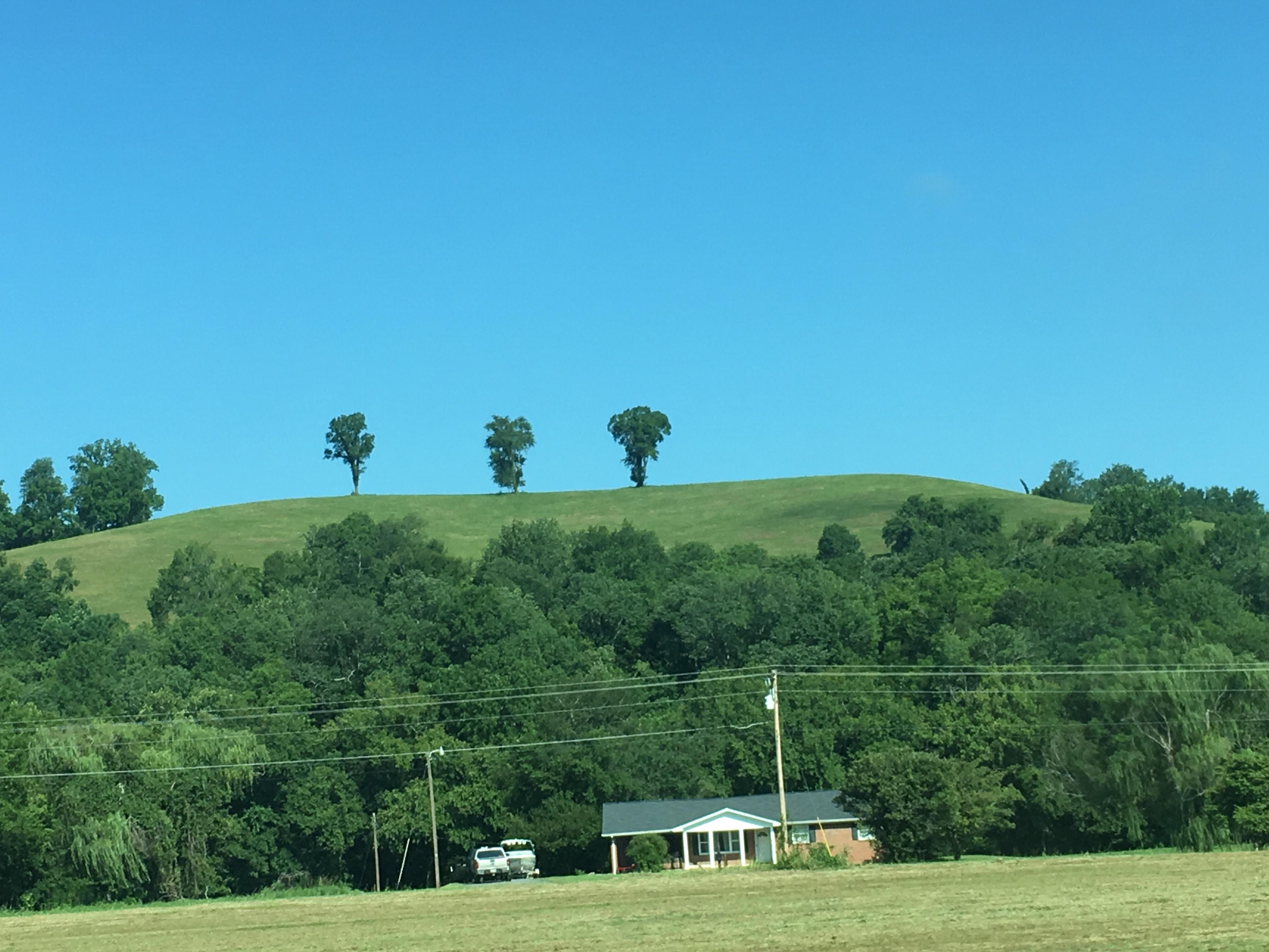 Possible Korok Seed Location Near Lynchburg, TN r/Breath_of_the_Wild