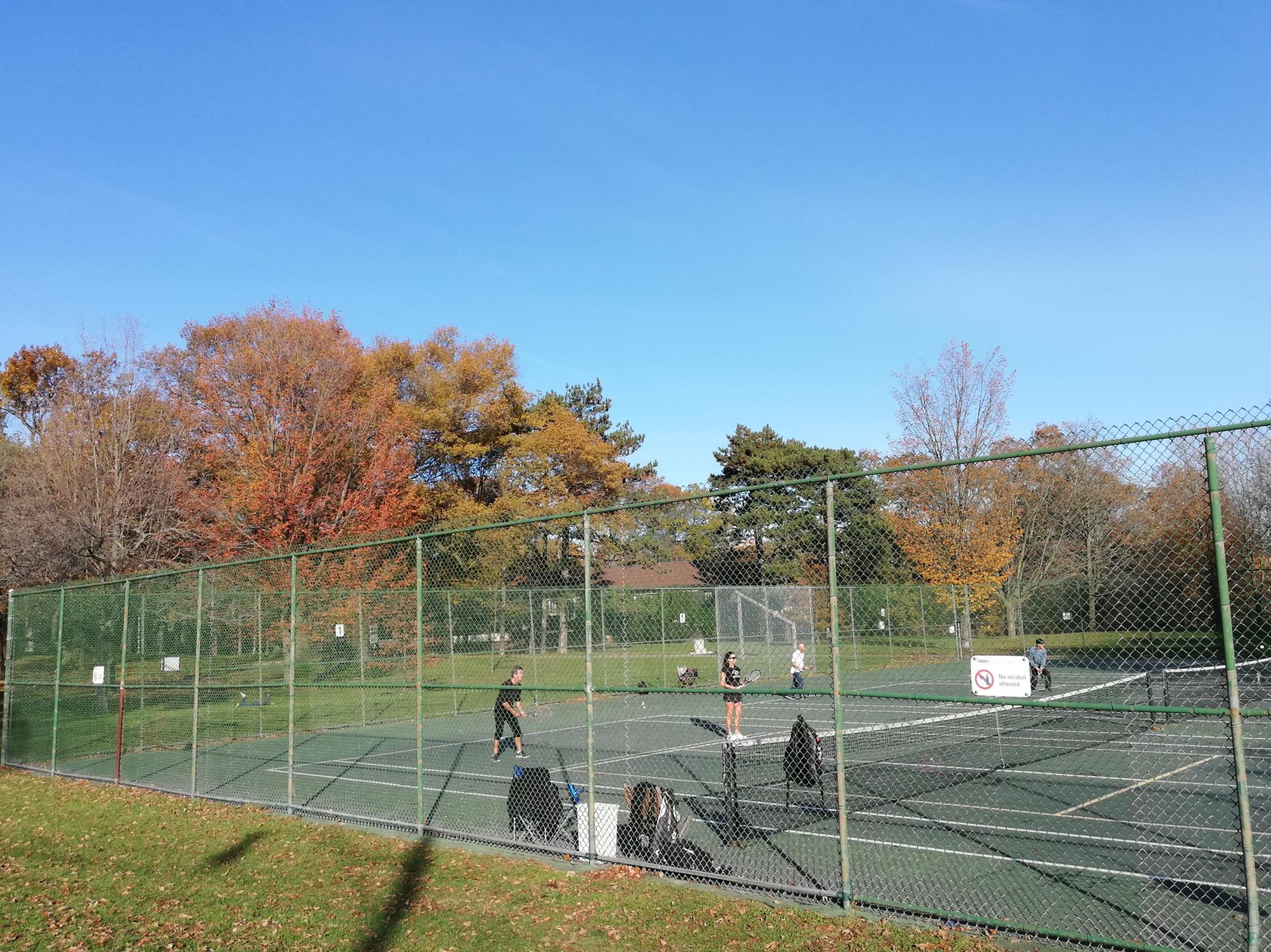 Tennis in High Park the other day r/toronto