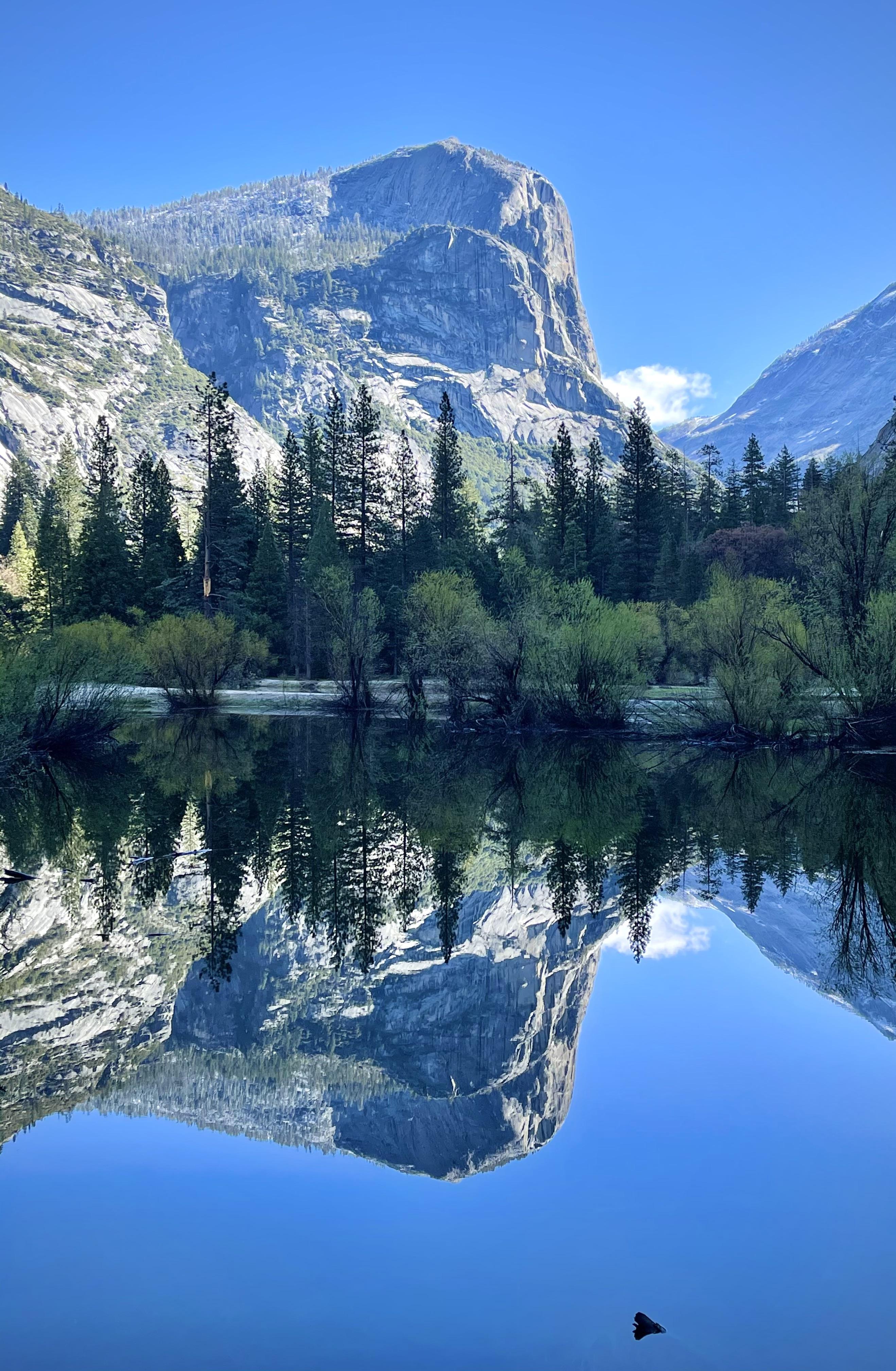 Mirror Lake in Yosemite National Park 2636 x 4032 NoShitBlog