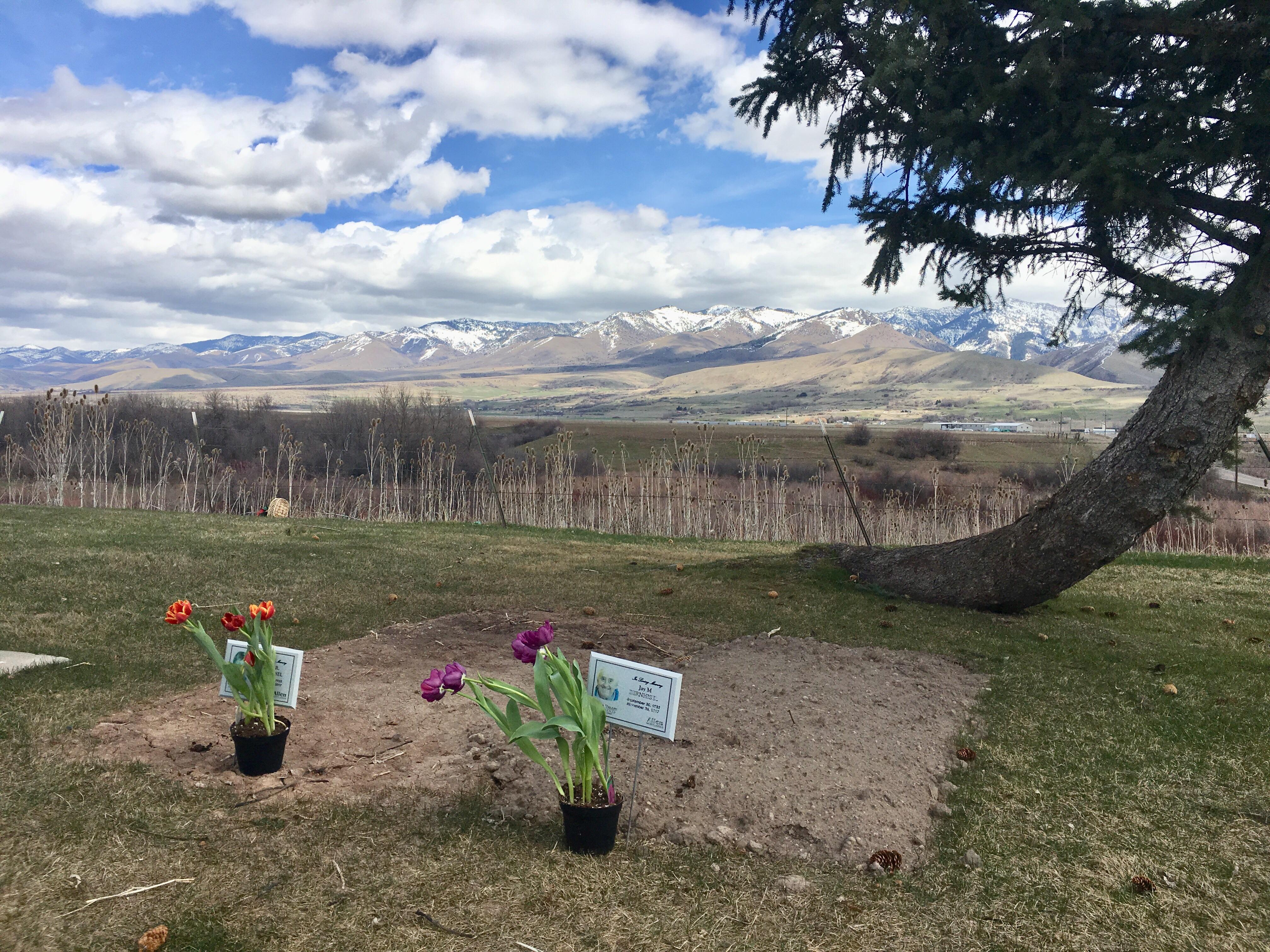 Hidden Cemetery Lewiston, UT r/CemeteryPorn