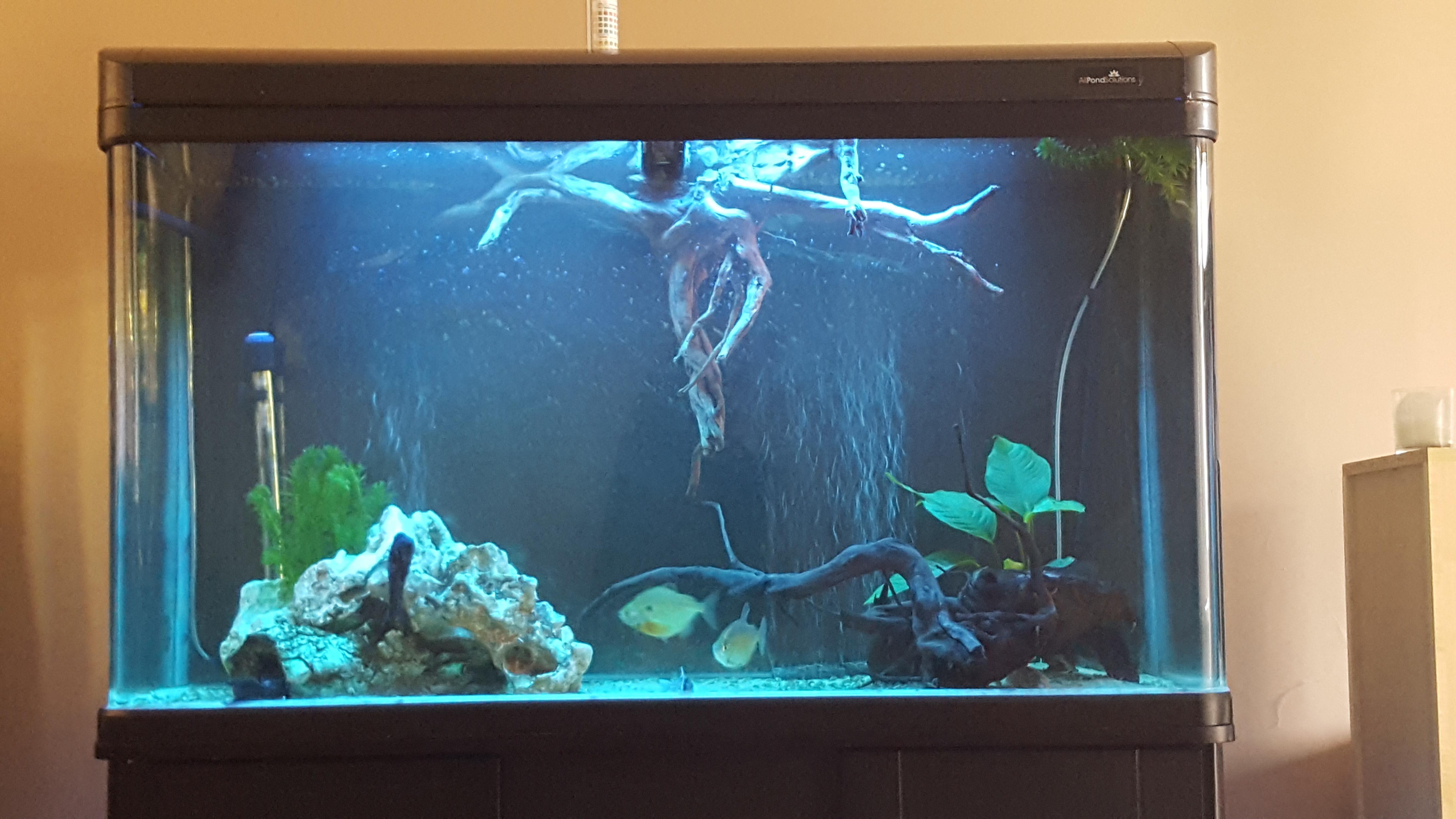 Tank update reddit advice followed r/Aquariums