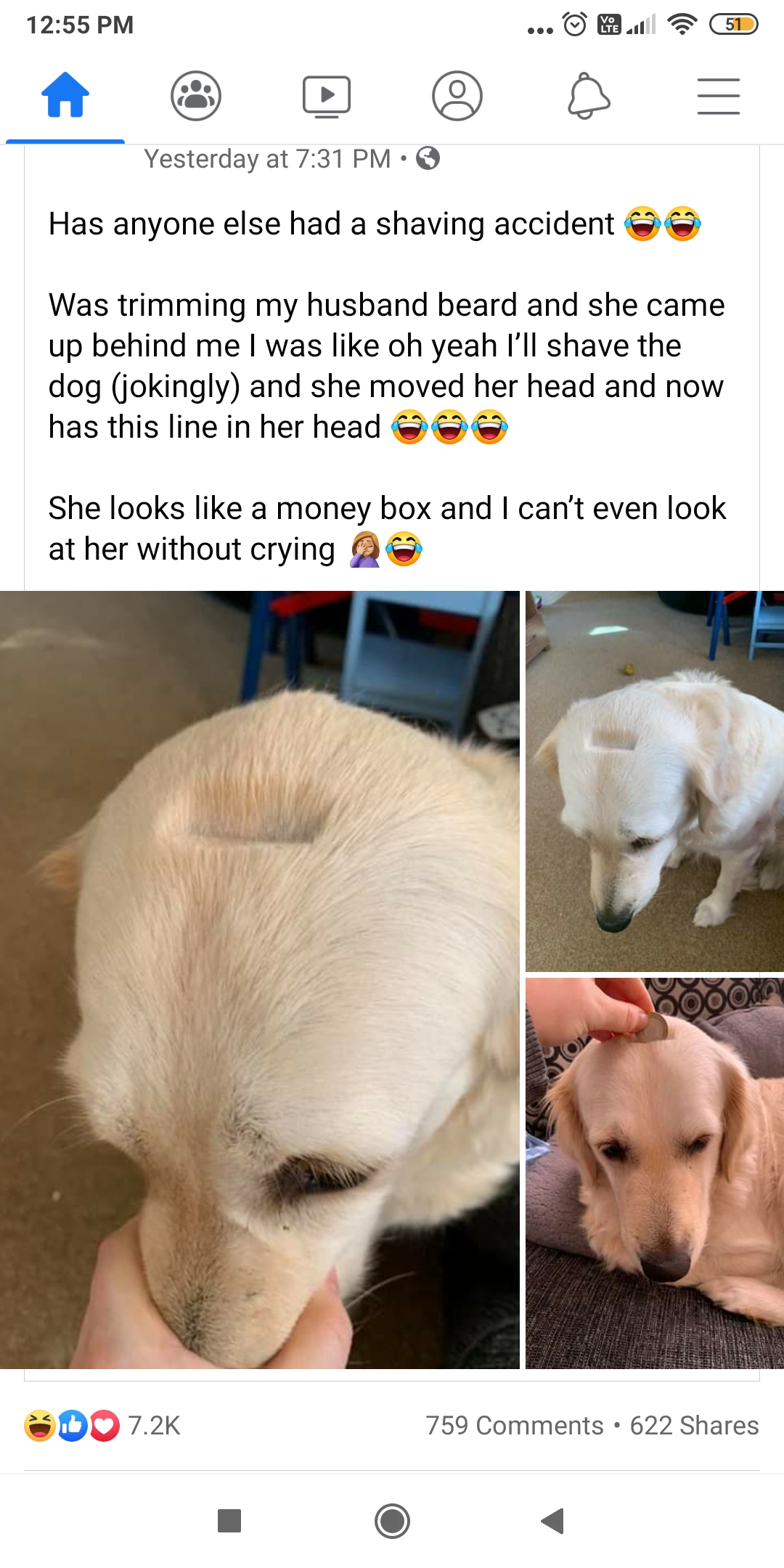 "penny for your thoughts, dog?" "my head is shaved and everything is