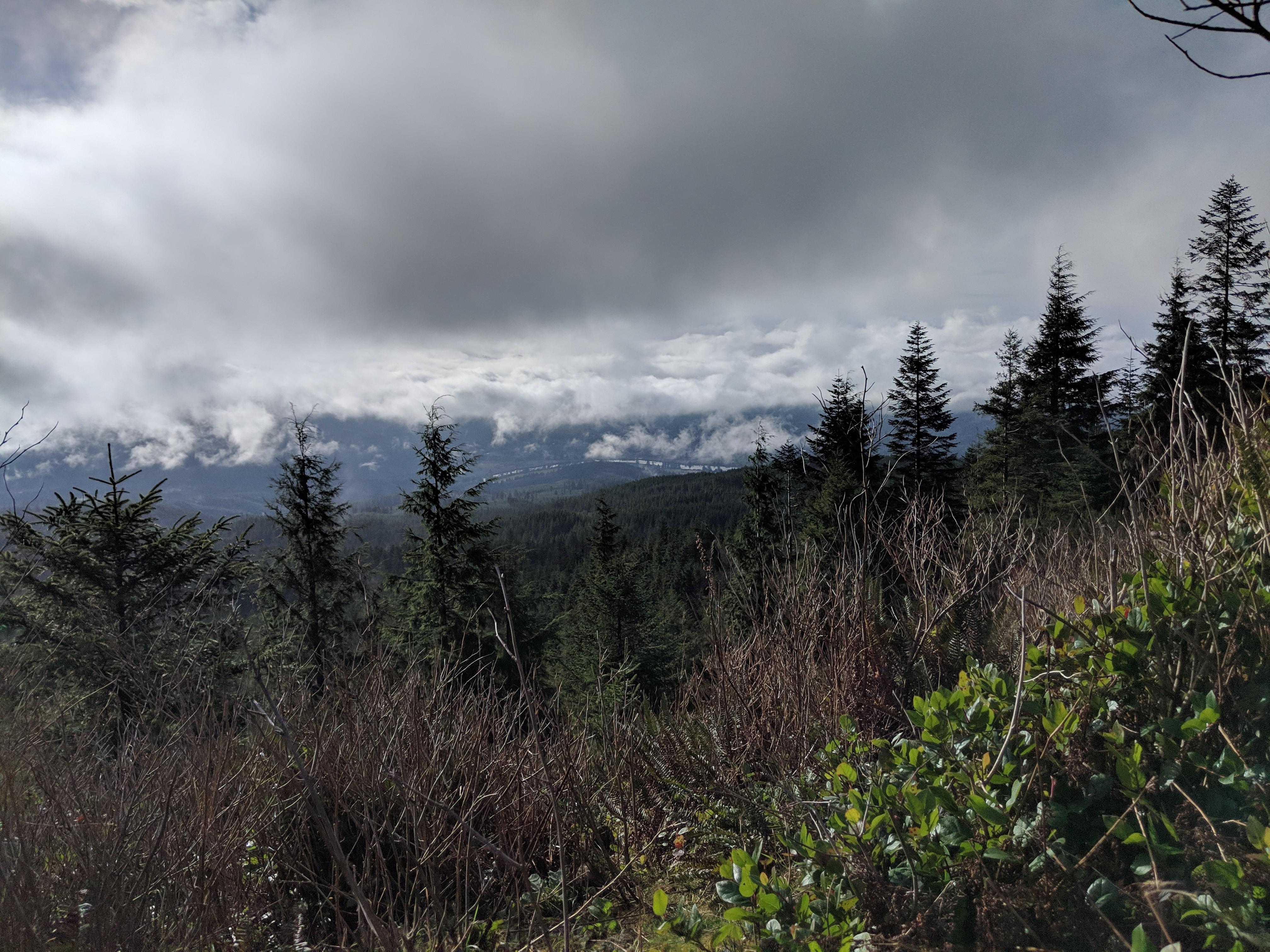 [4032 x 3024] [OC] Radar Hill in Naselle, WA. The Naselle River is