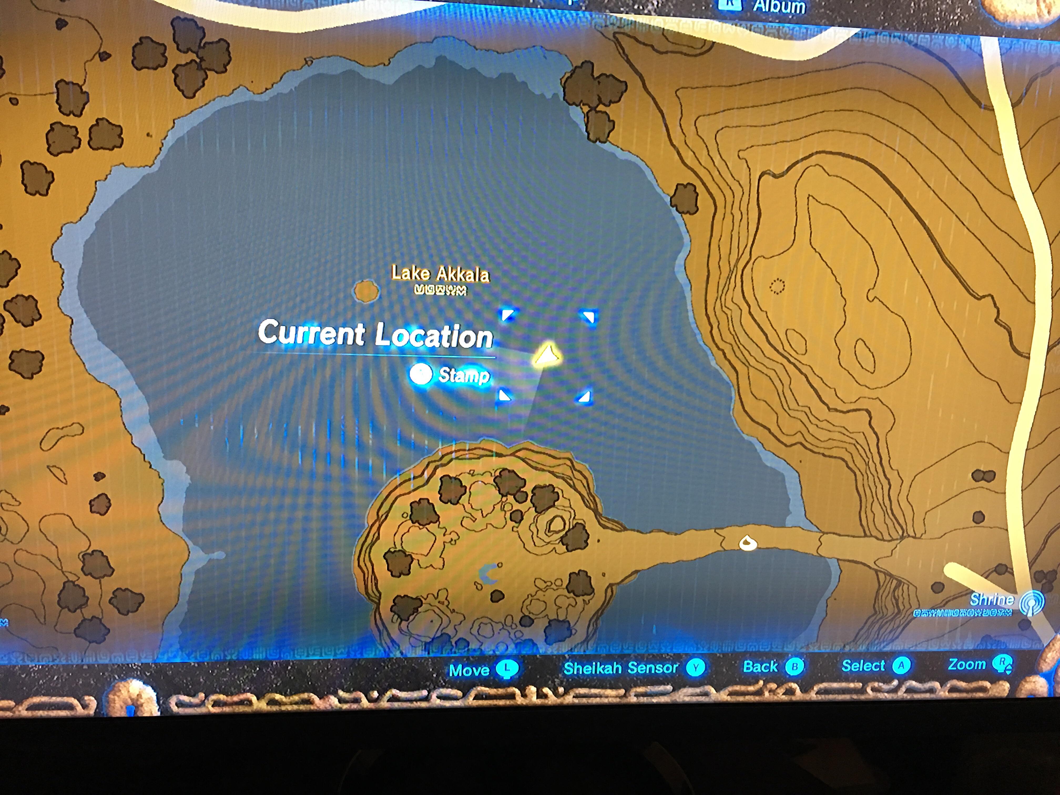 Found a 300 gold rupee in approximately this location. There is a raft