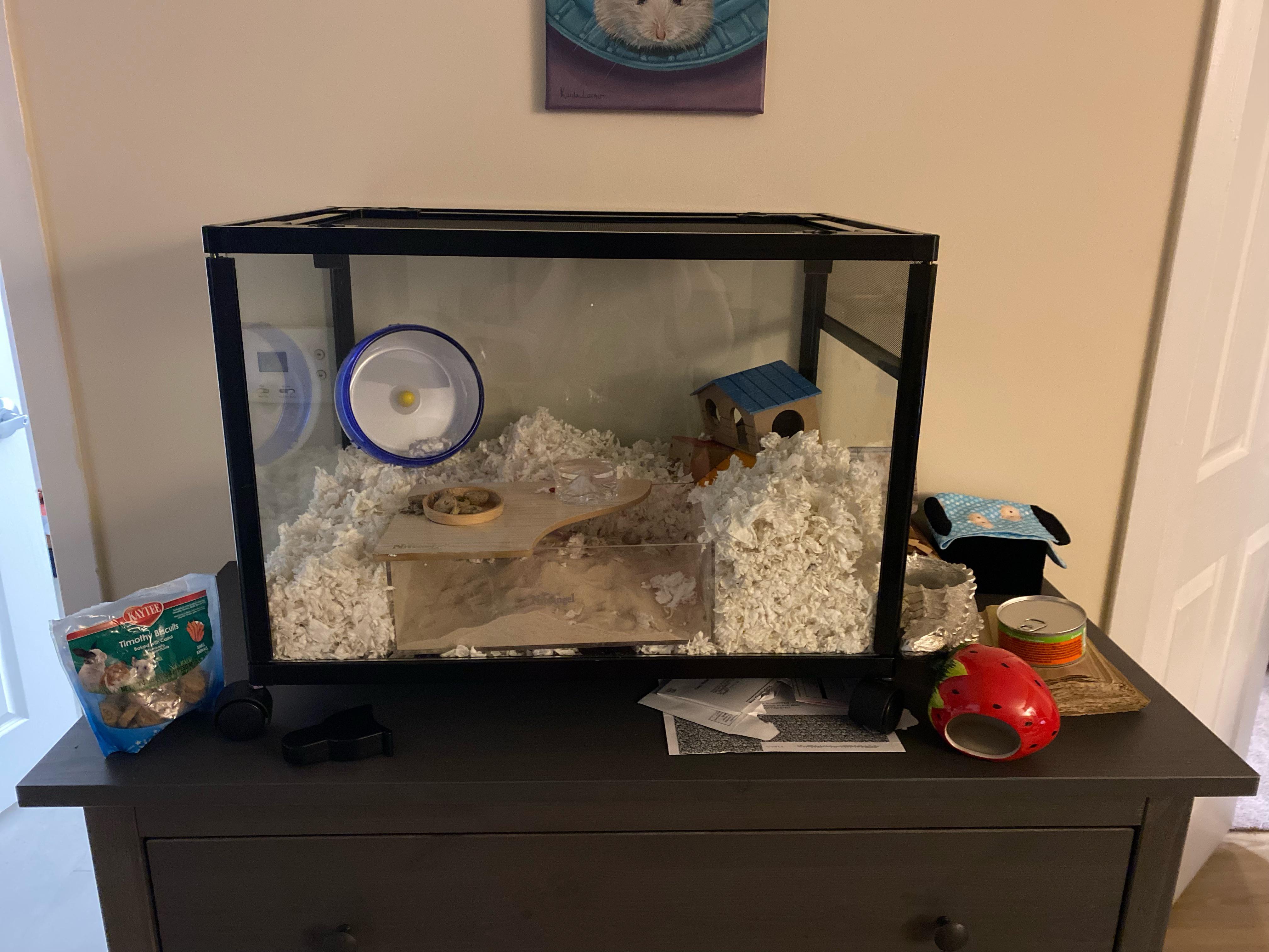 Is this ok for 3 days while we wait for the bigger cage? Previous