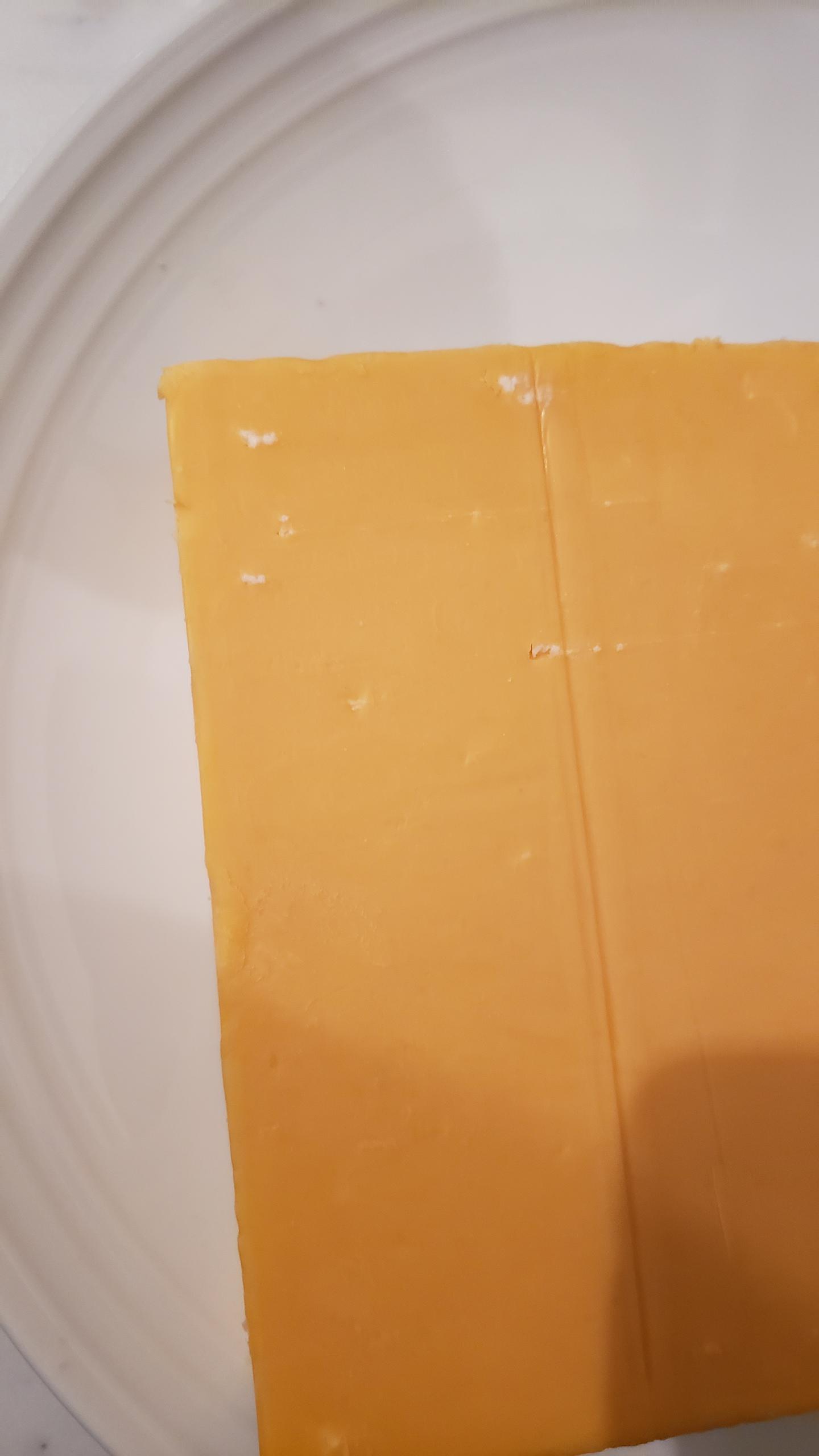 Moldy American Cheese