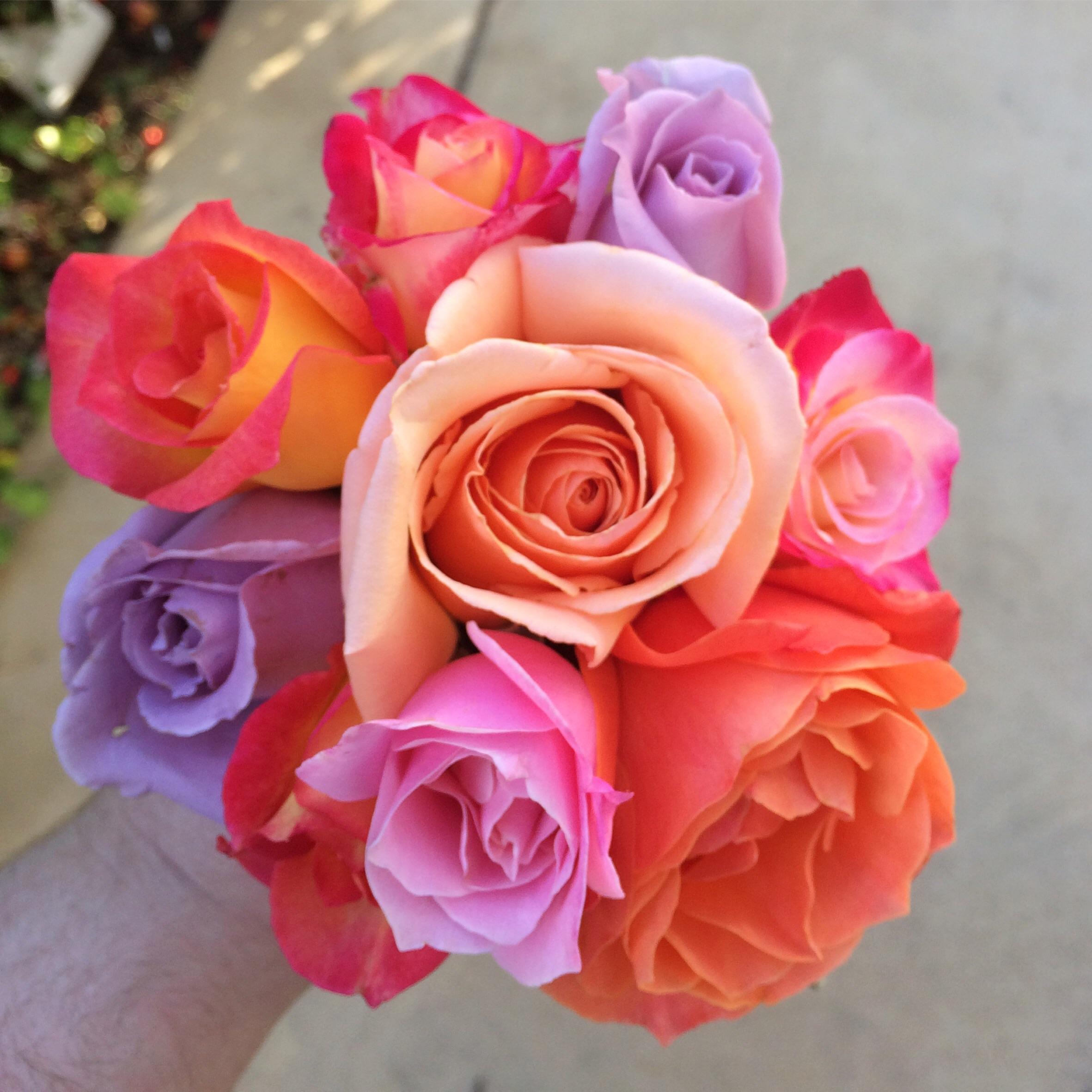 Some roses from my grandma’s garden ) gardening