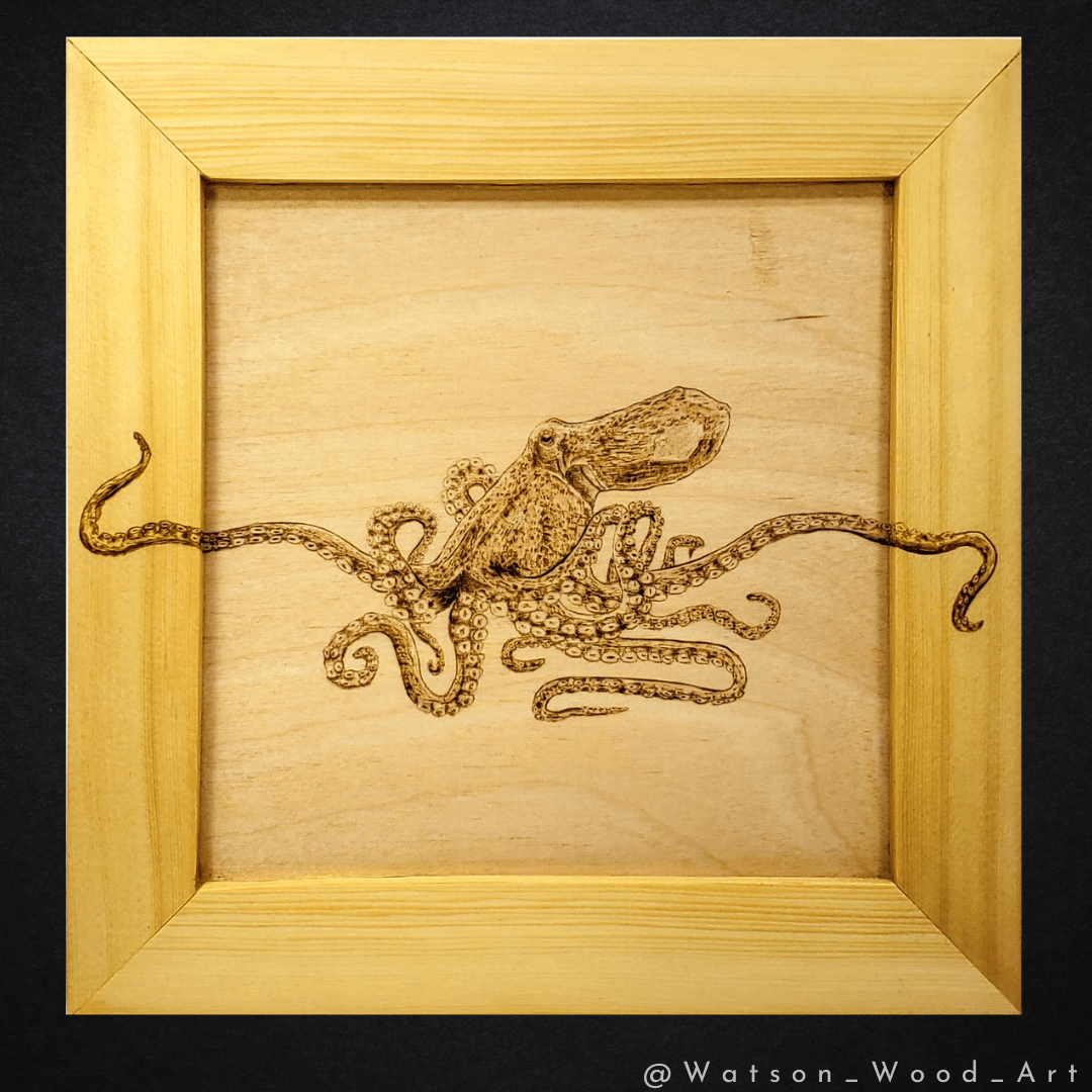 Octopus Escape Artist r/Pyrography