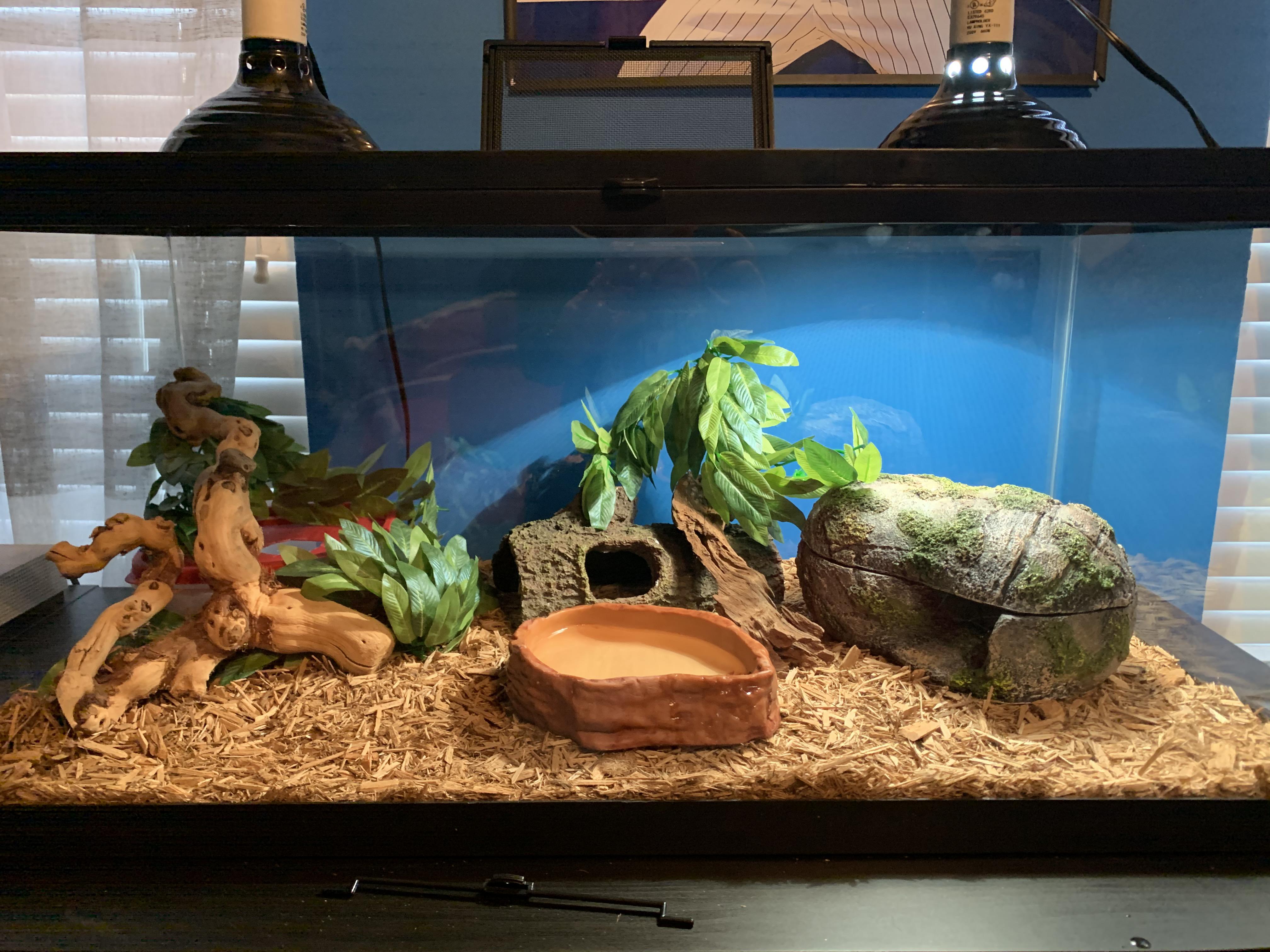 What would you do to this enclosure to increase humidity and make it