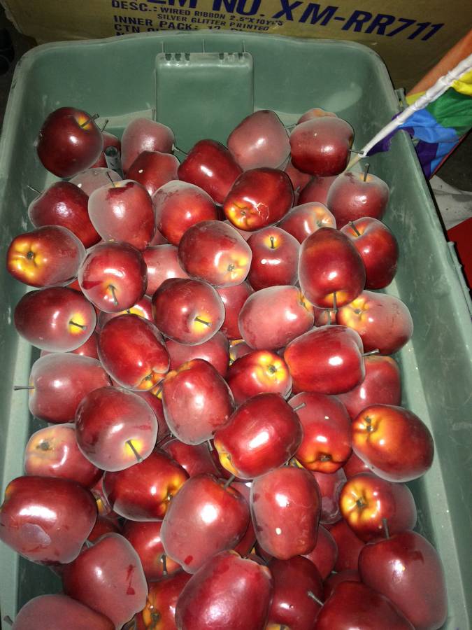 This craigslist ad for plastic apples r/mildlyinteresting