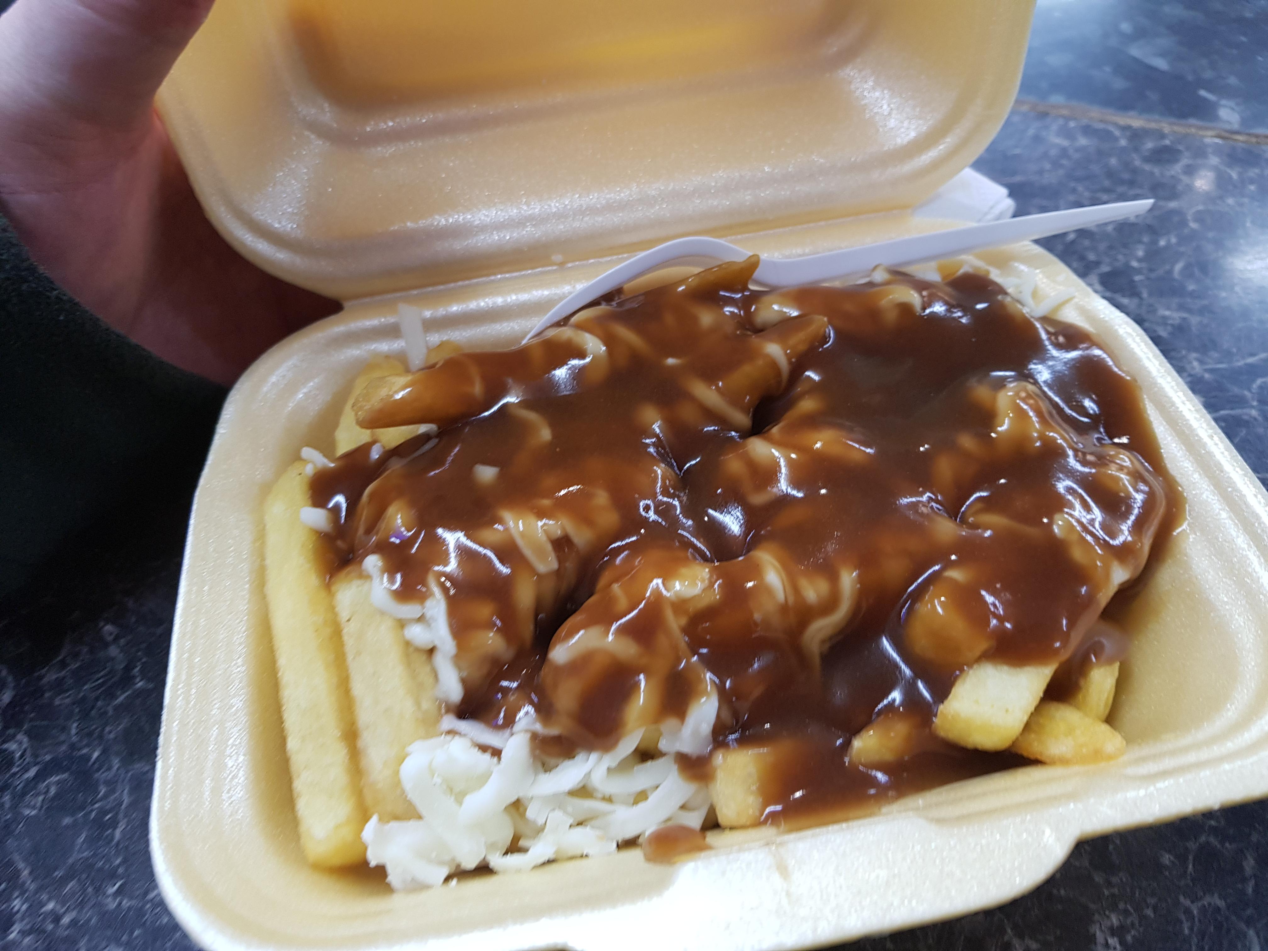 Cheesy chips with gravy from a dirty kebab shop r/shittyfoodporn