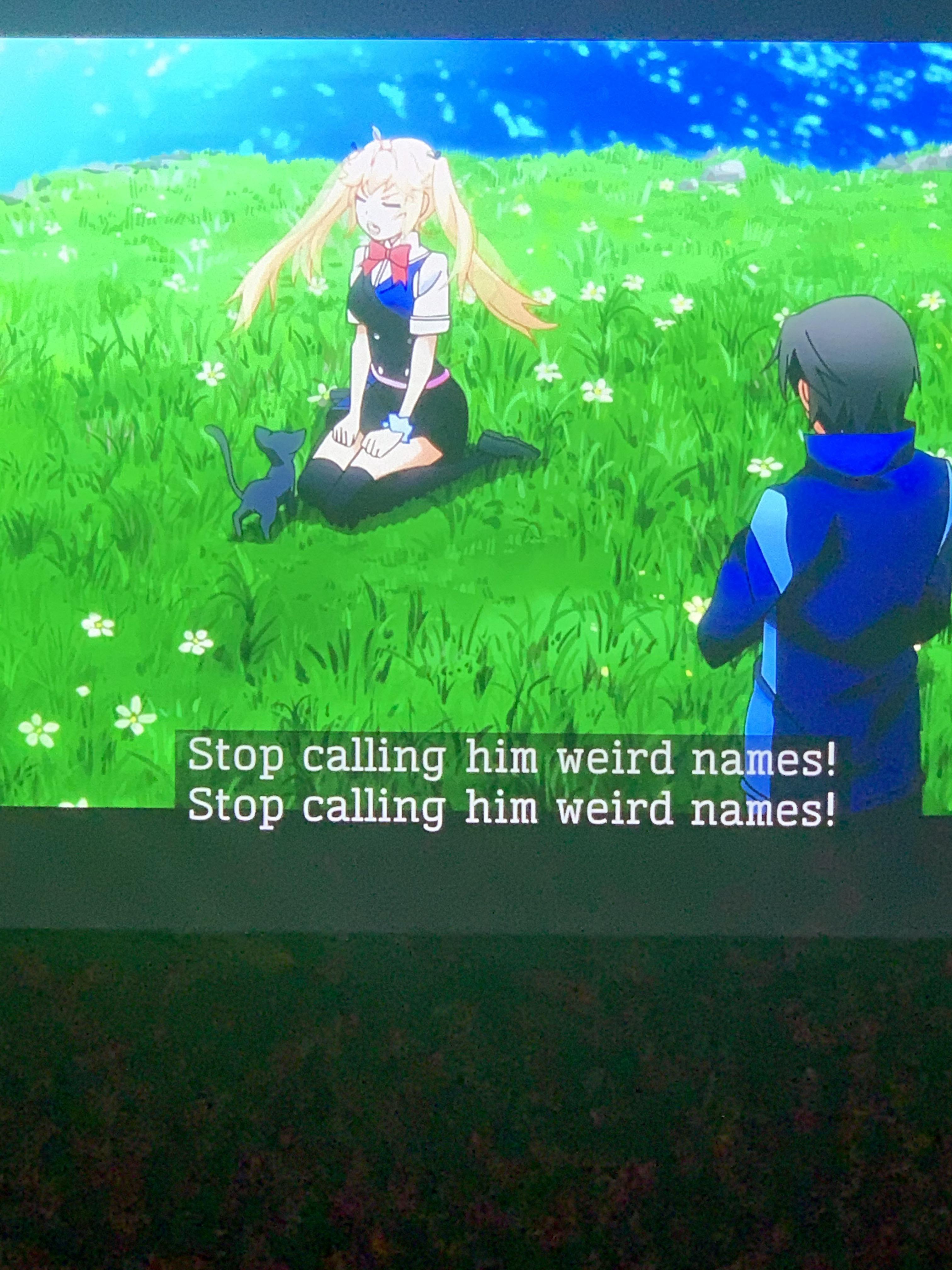 Does anyone know how to fix double subtitles on vrv while watching