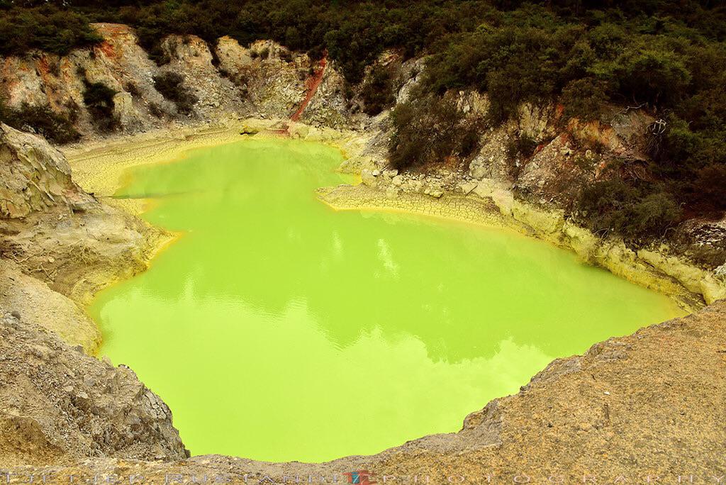 A neon yellow water pond in New Zealand formed from sulphur in the