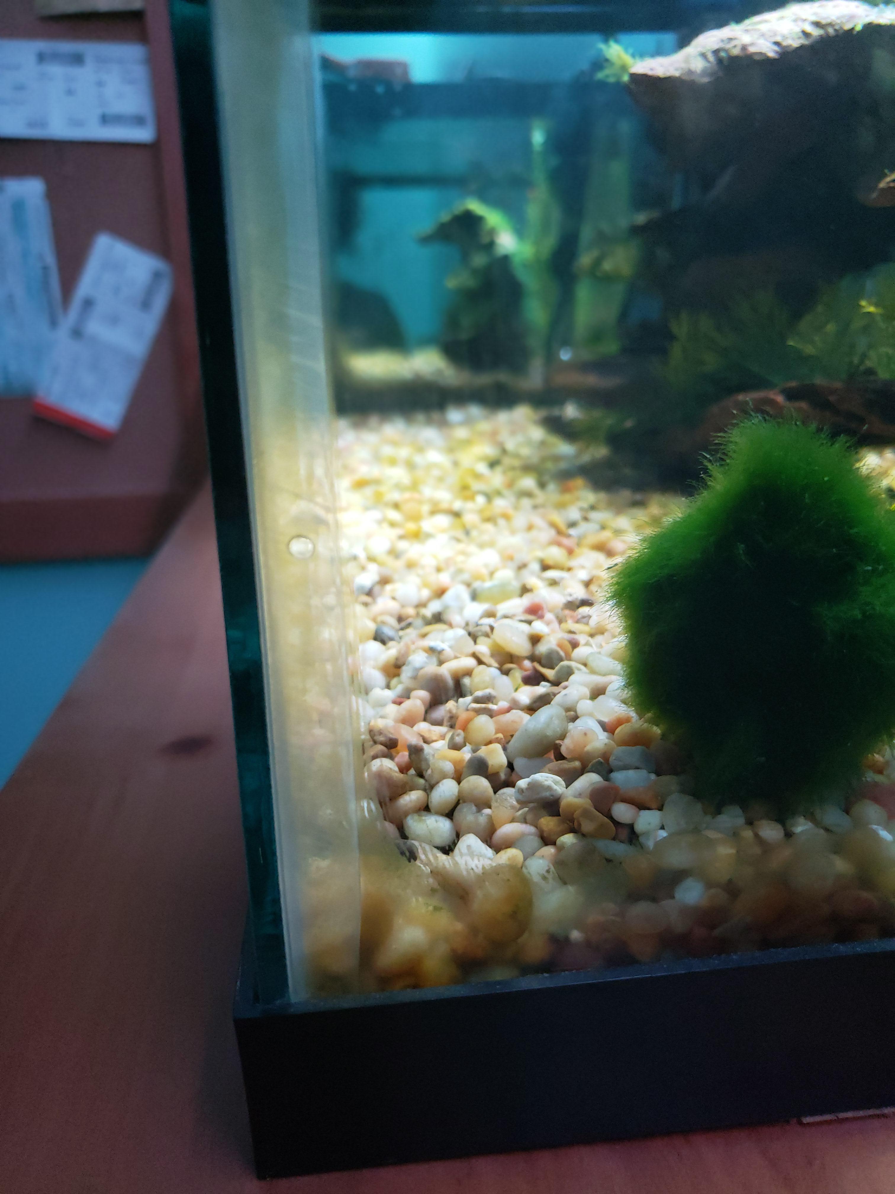 Bubbles on the silicone seams. Does anyone know if this happens often