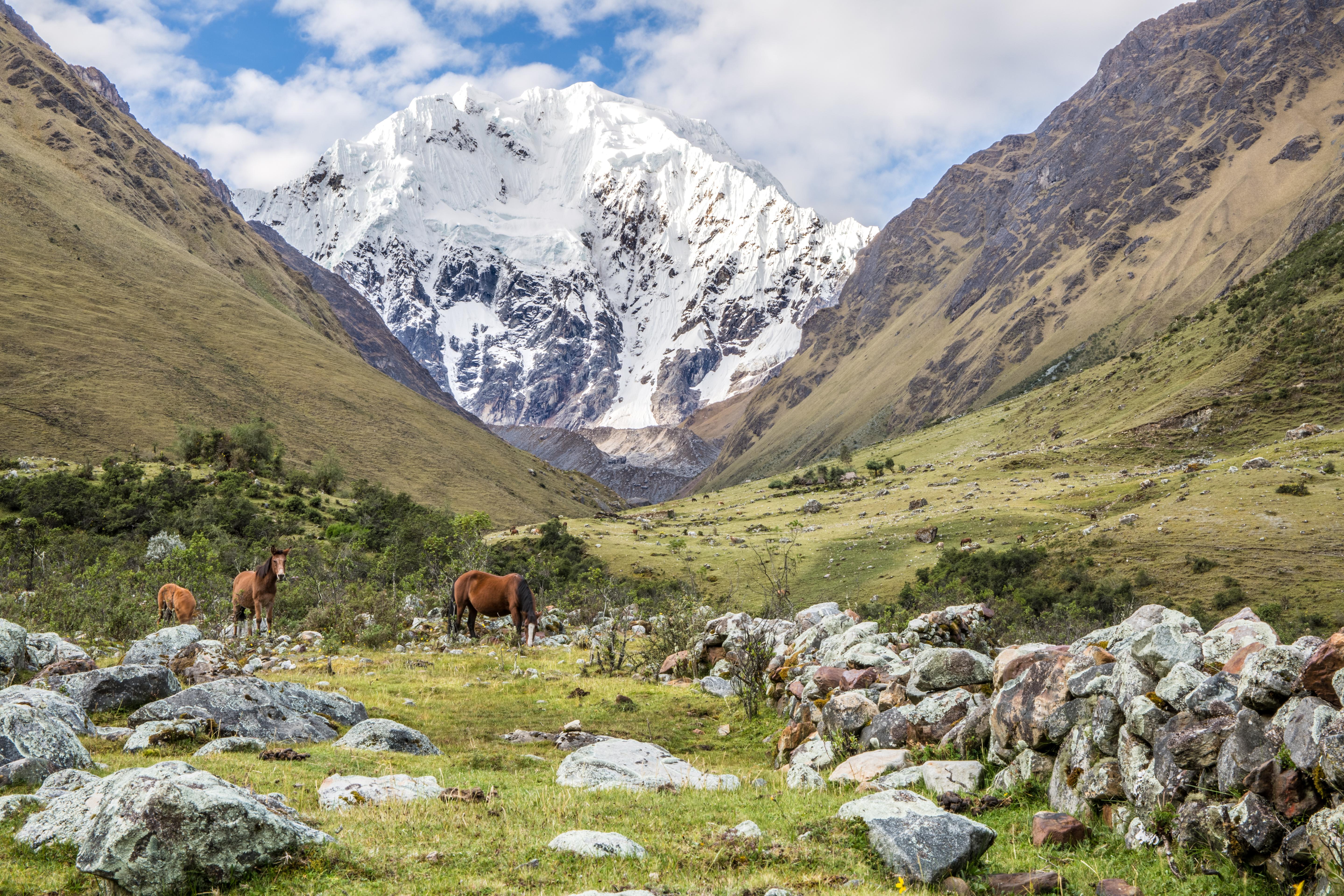 Expose Nature Hello Reddit After four years of watching from the