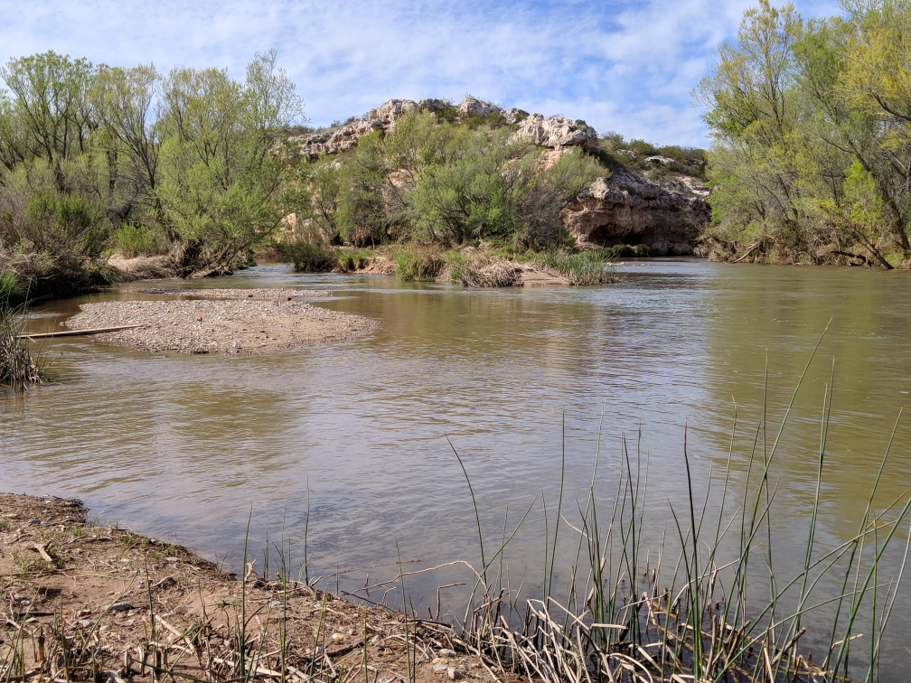 41720 Verde River (Cottonwood) Fishing Report r/ArizonaFishing