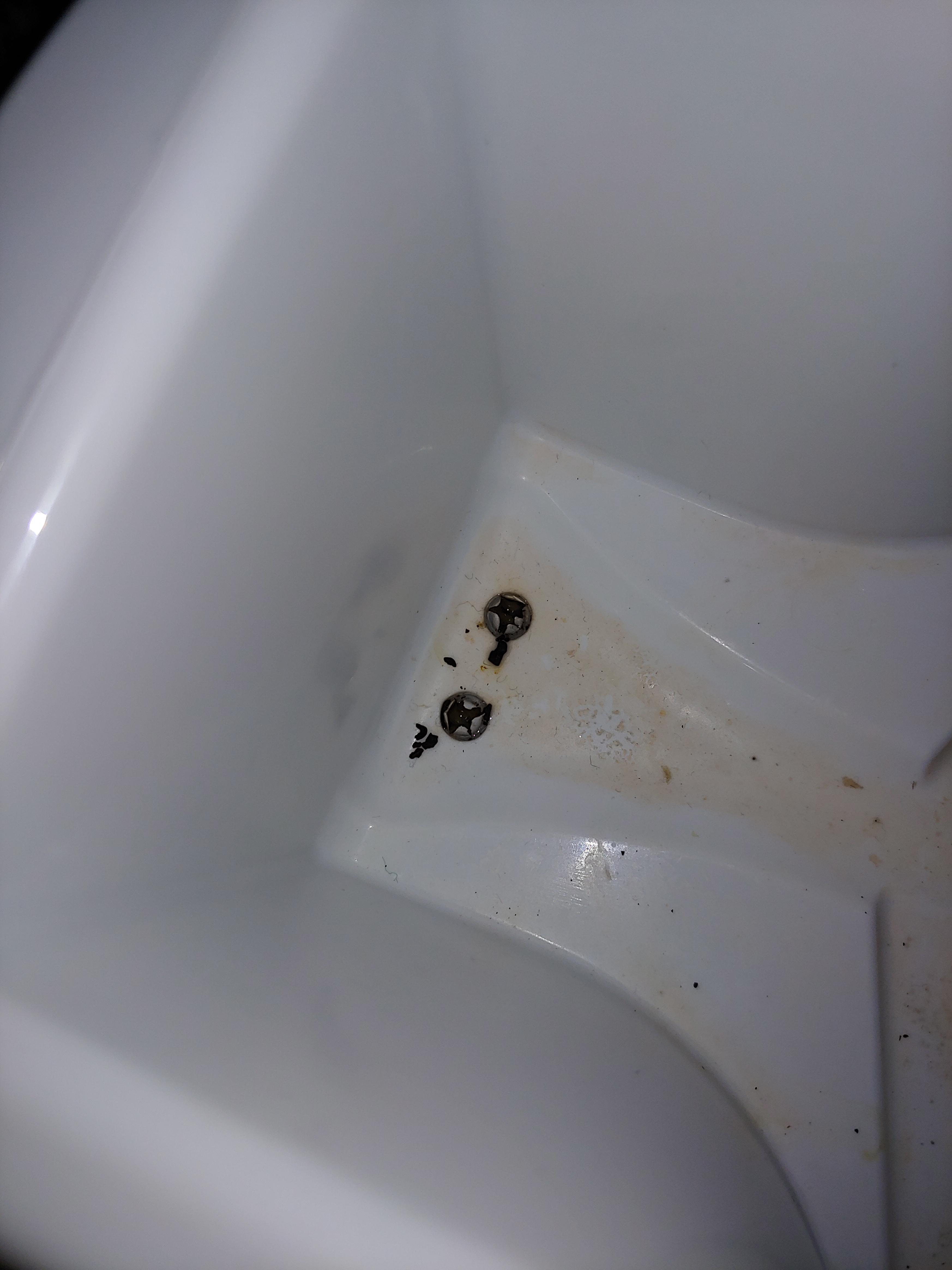 Are these roach droppings? Spotted in bottom of dish drying rack (not