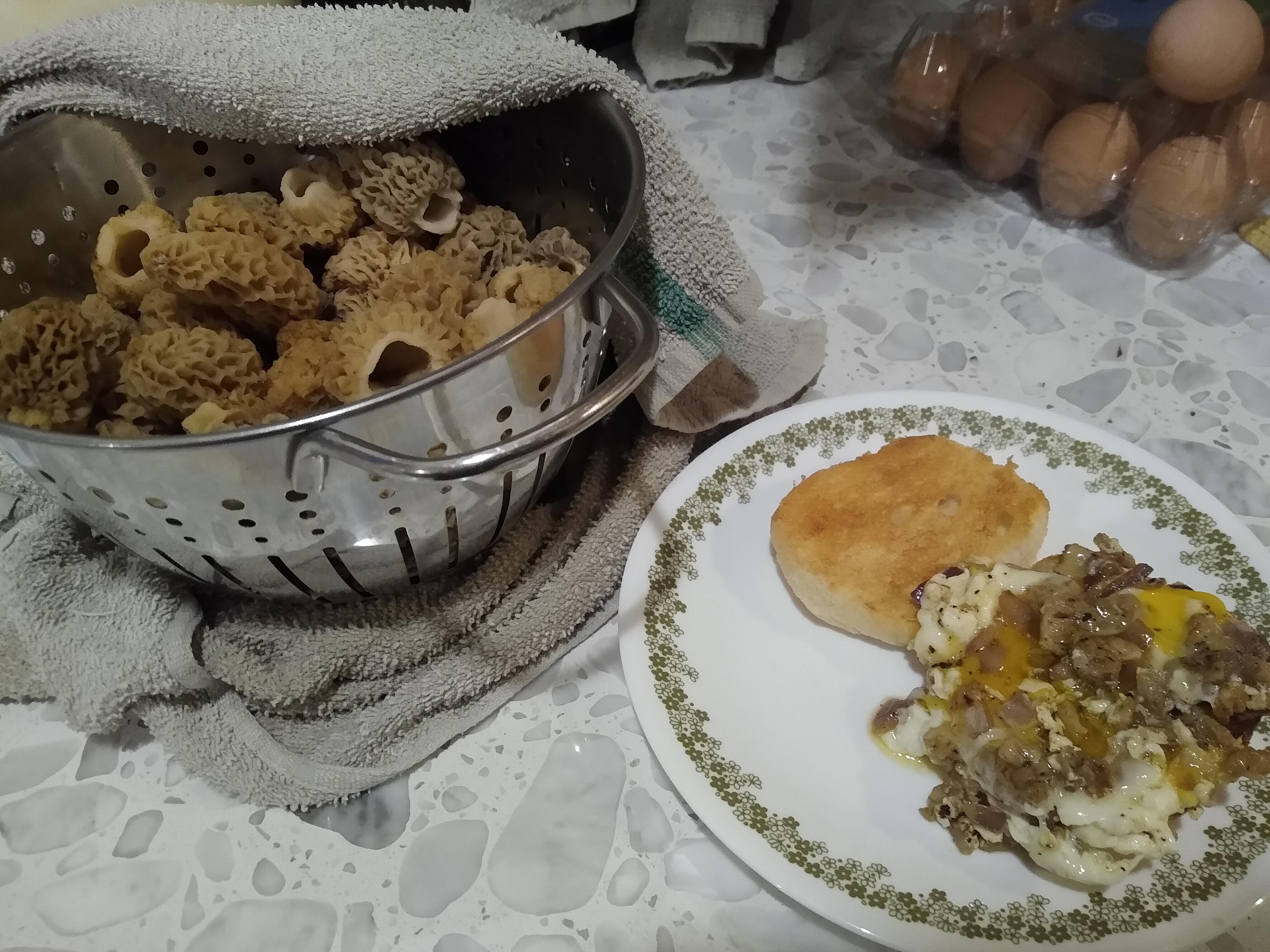 Montana morels and eggs Bridger Canyon morels, TnC ranch rolls, eggs