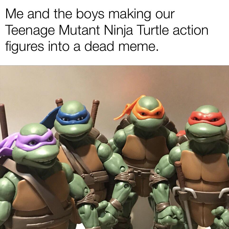 Ninja Turtle Meme Cowabunga