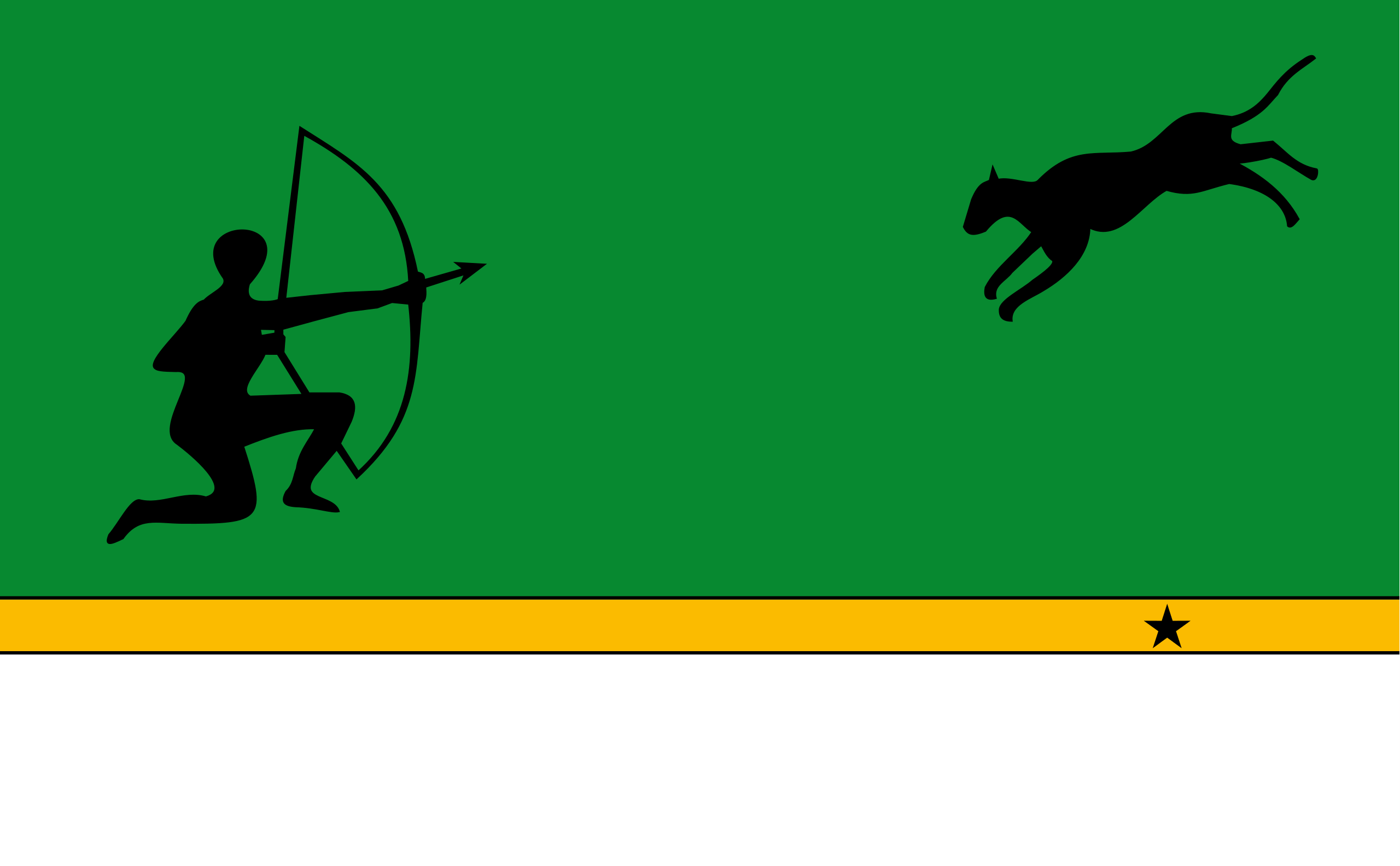 Flag of Amazonas department, Colombia r/vexillology