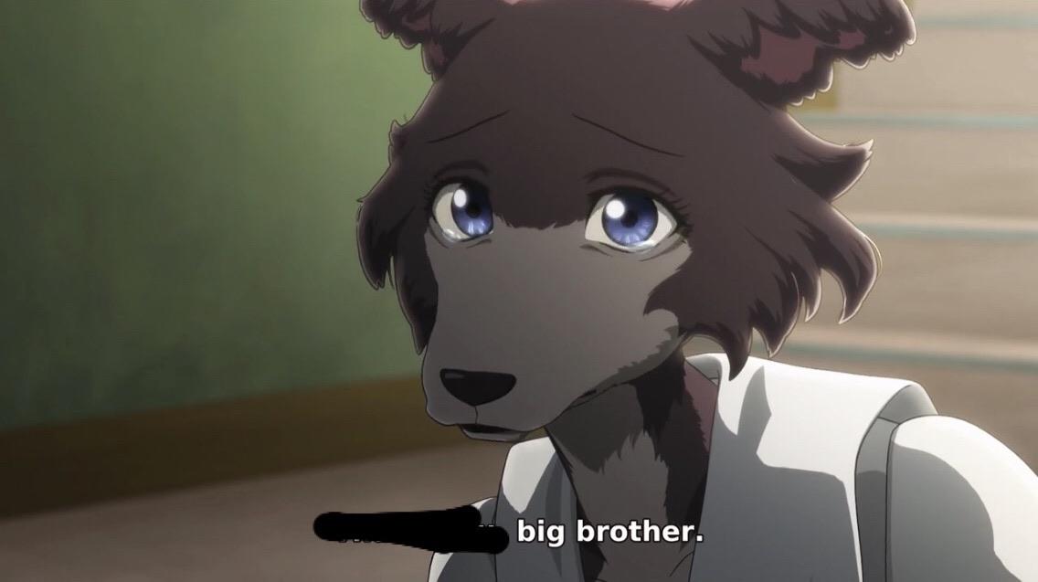 Anime gay porn xvideos - quickgagas