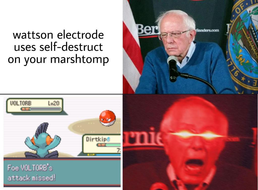 Now this is a certified mudslap moment r/nuzlocke